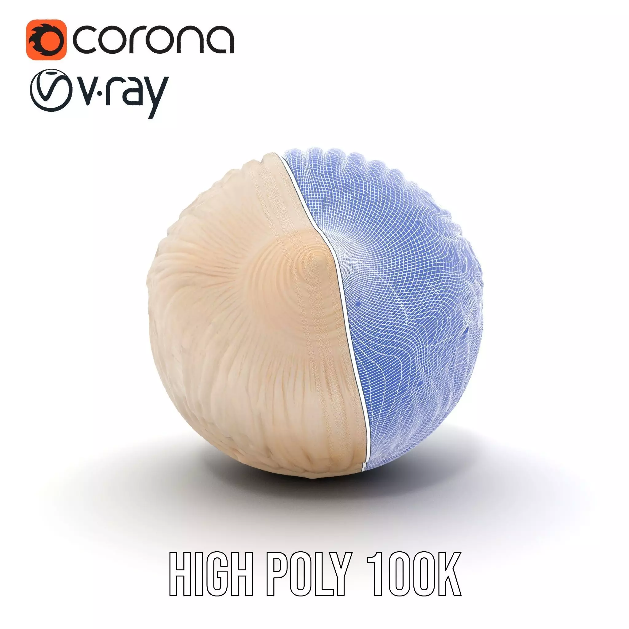 Elegant Sea Shell model pack Low-poly 3D model_33