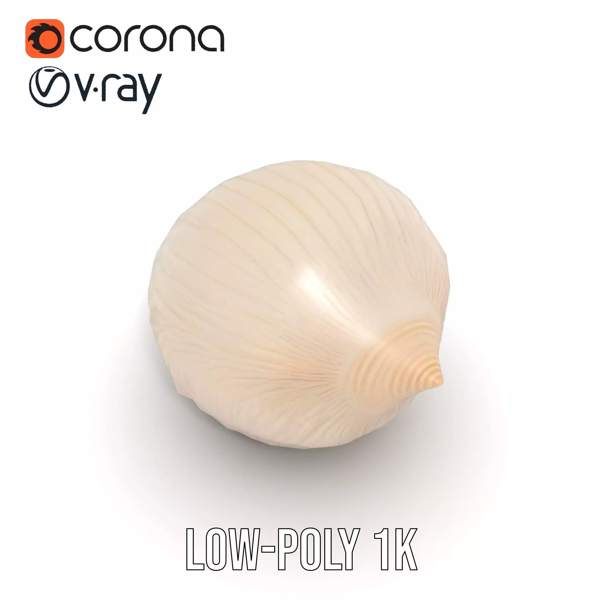 Elegant Sea Shell model pack Low-poly 3D model_23