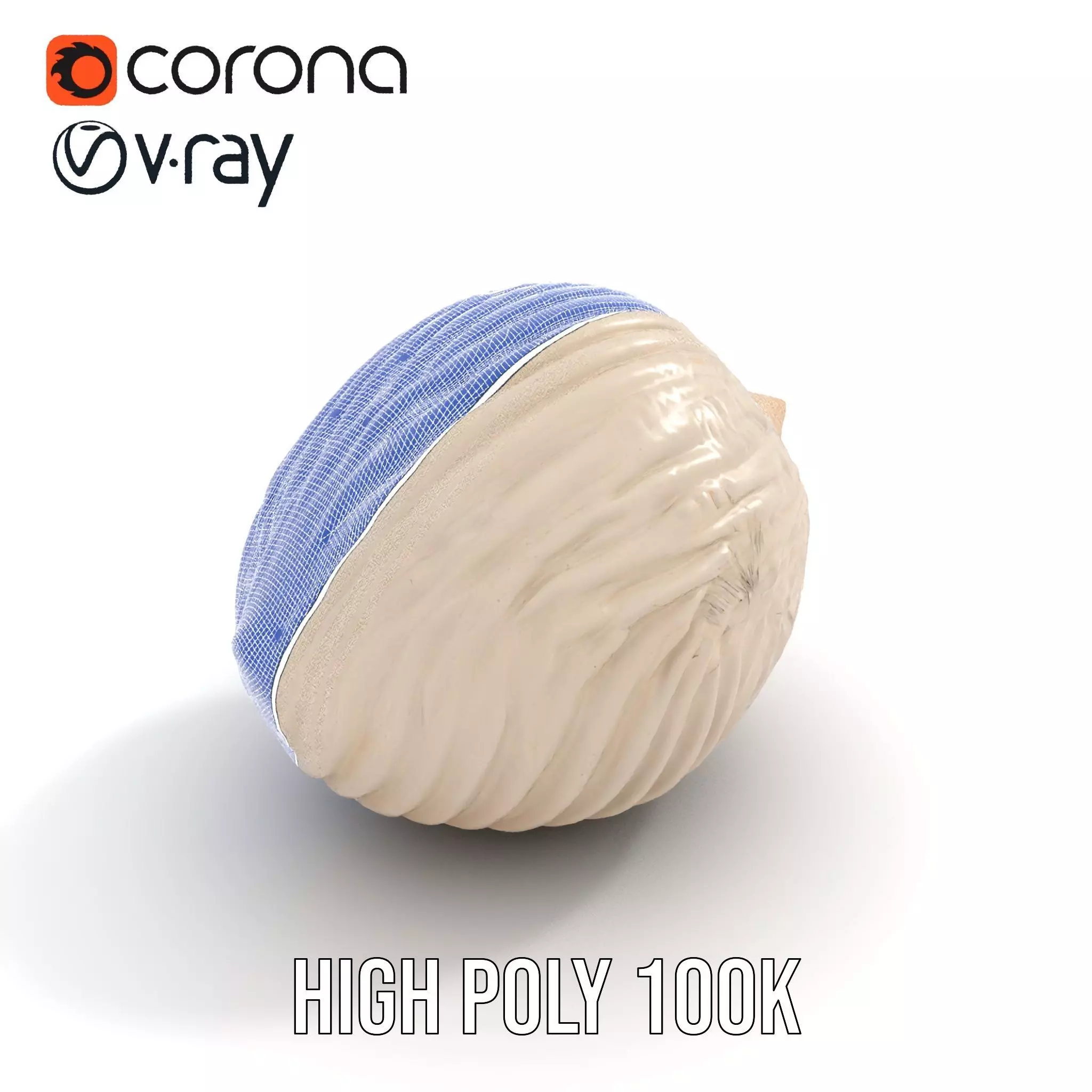 Elegant Sea Shell model pack Low-poly 3D model_32