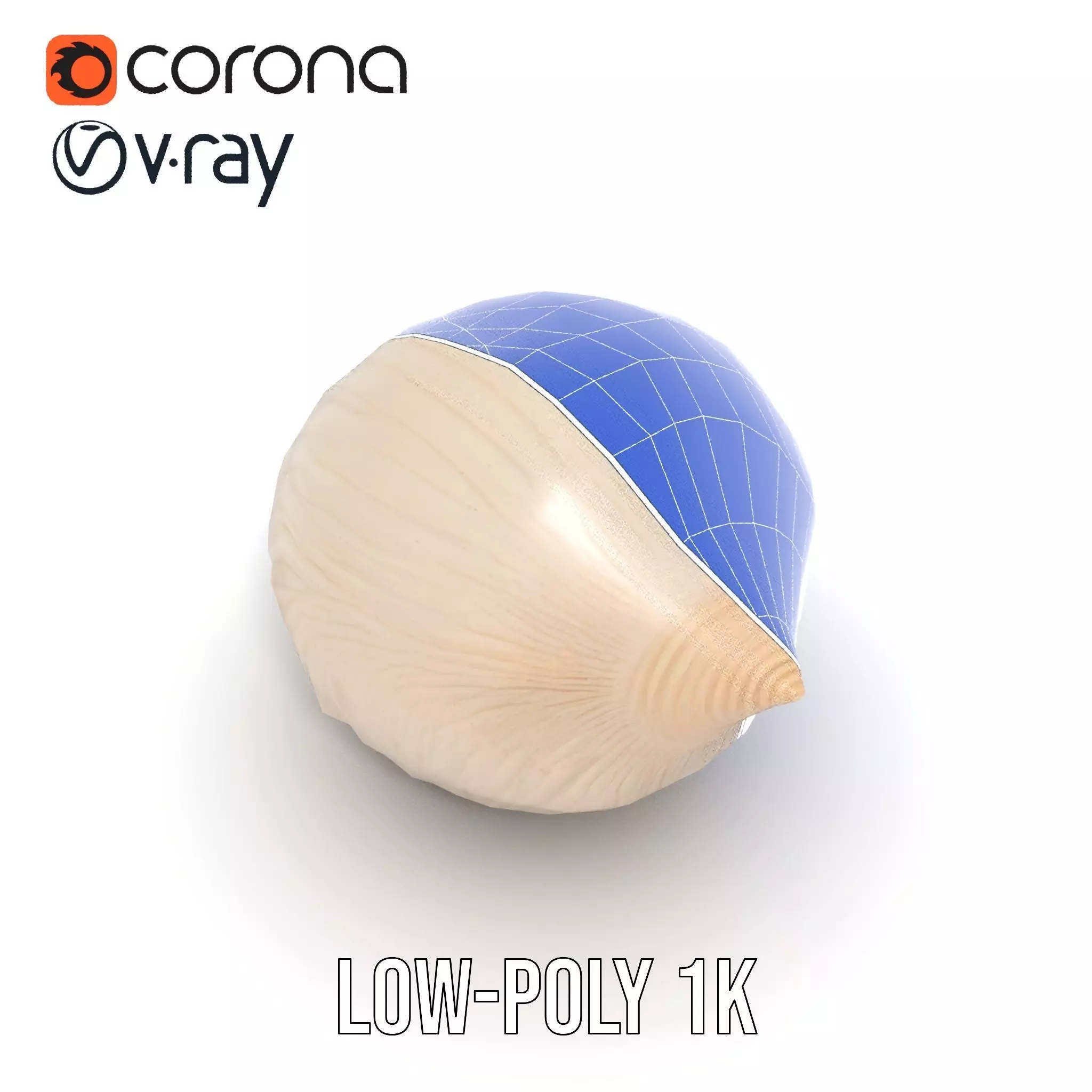 Elegant Sea Shell model pack Low-poly 3D model_14