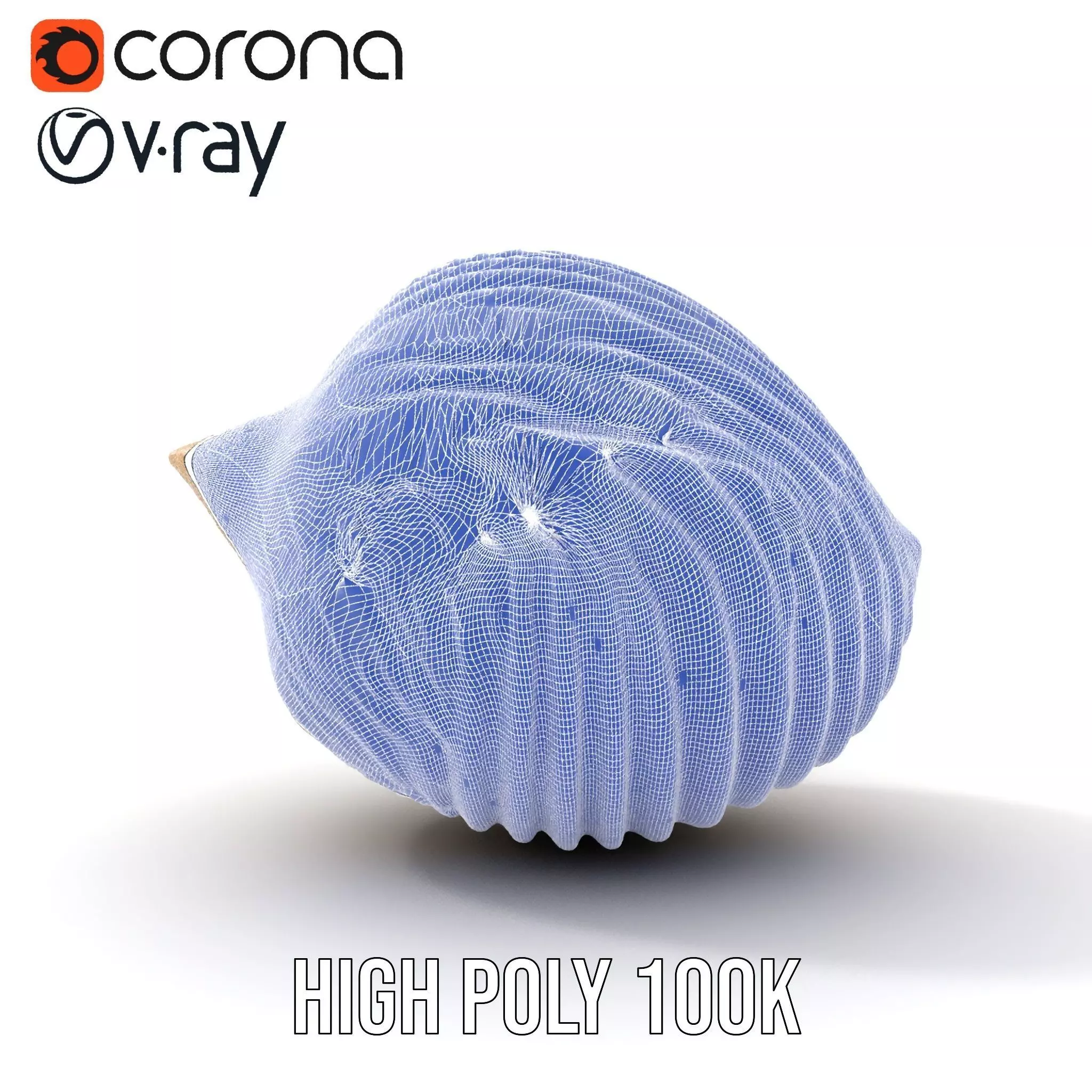 Elegant Sea Shell model pack Low-poly 3D model_26