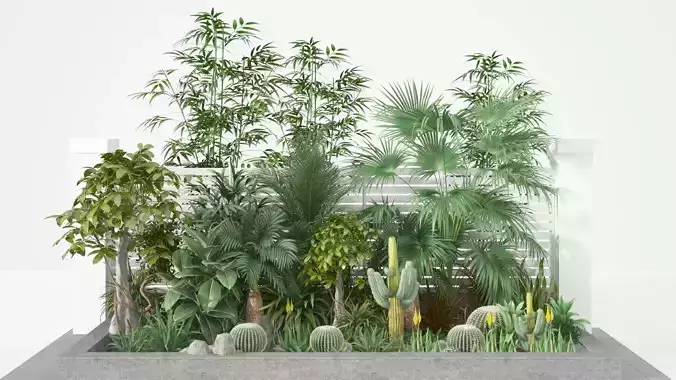 Tropical Plant Collection