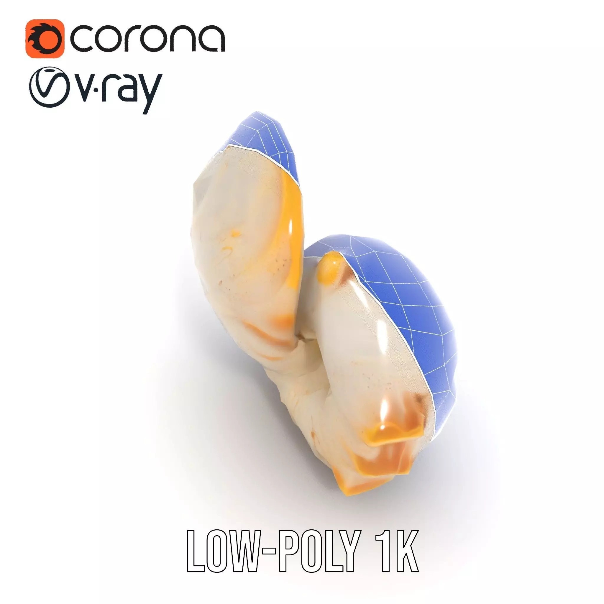 Elegant Nautilus Shell model pack Low-poly 3D model_25
