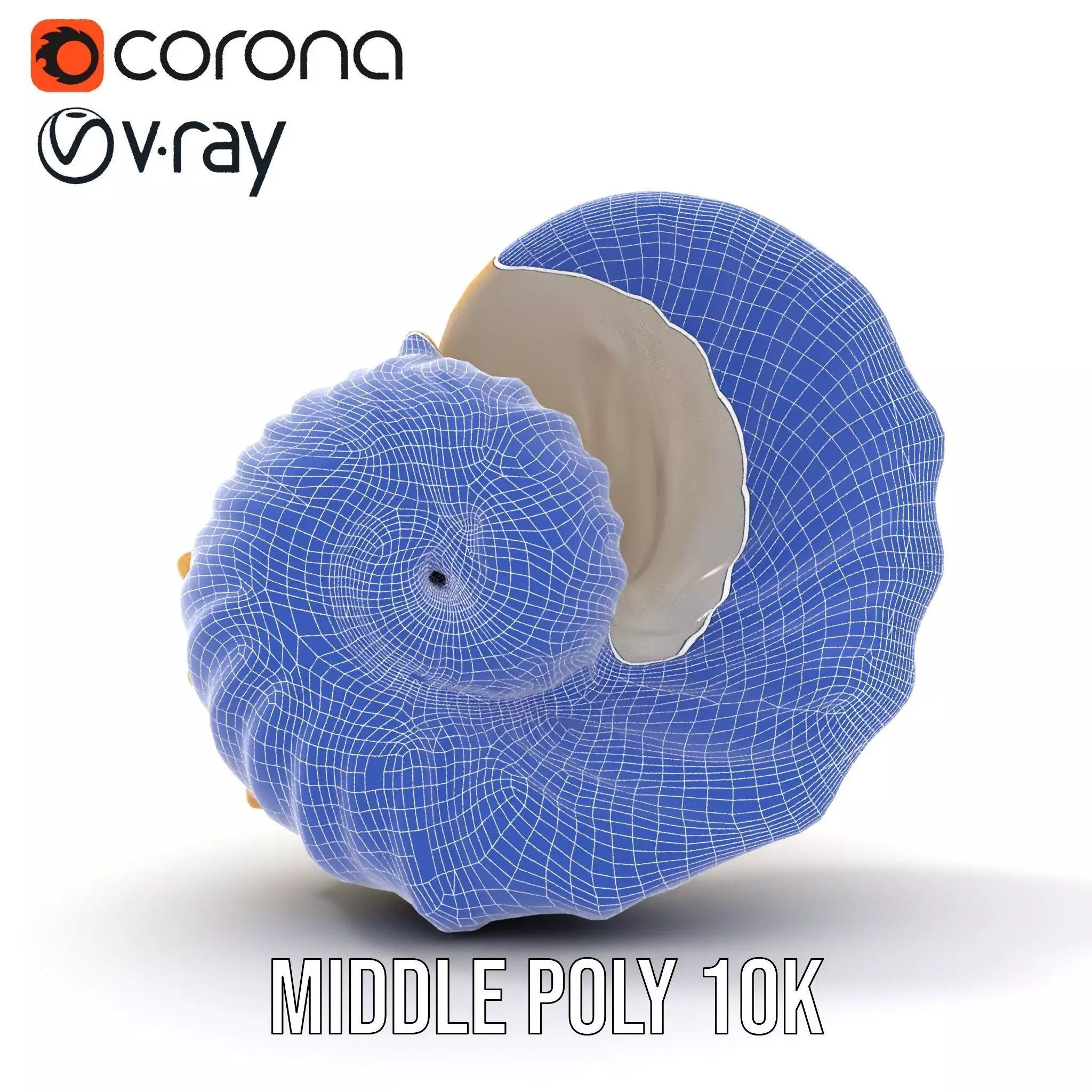 Elegant Nautilus Shell model pack Low-poly 3D model_27
