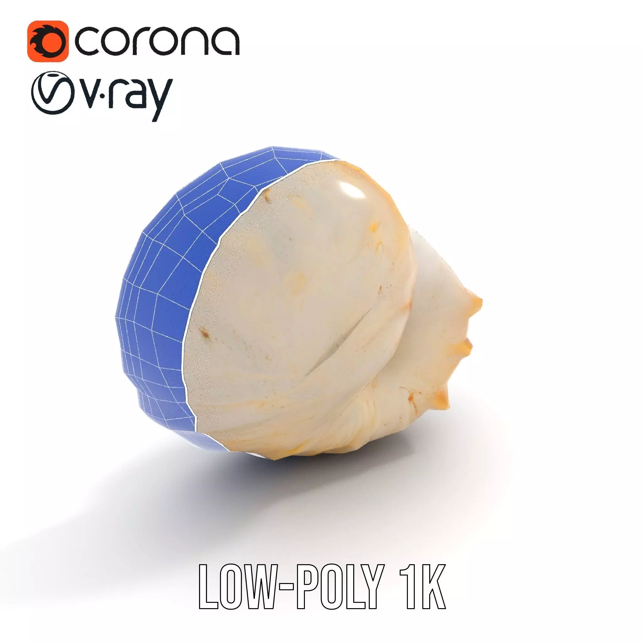 Elegant Nautilus Shell model pack Low-poly 3D model_19