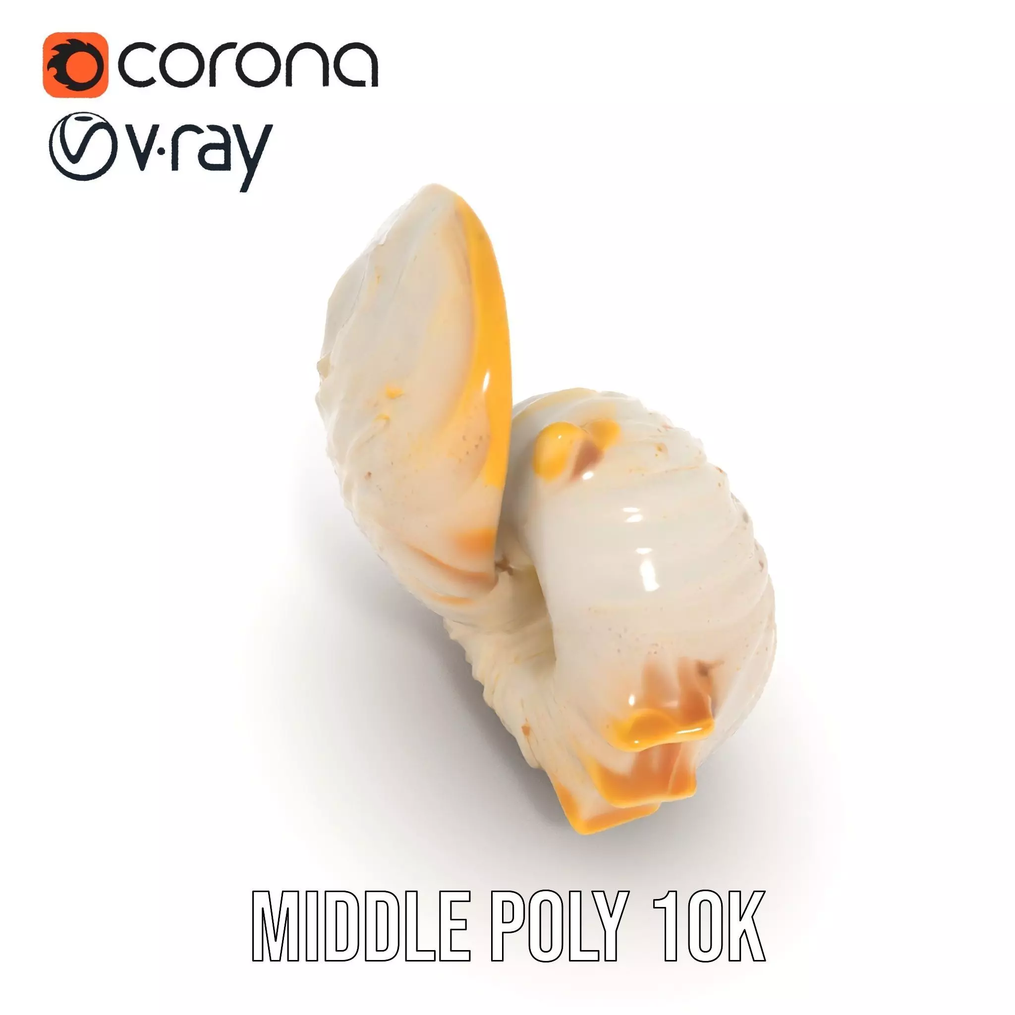 Elegant Nautilus Shell model pack Low-poly 3D model_15