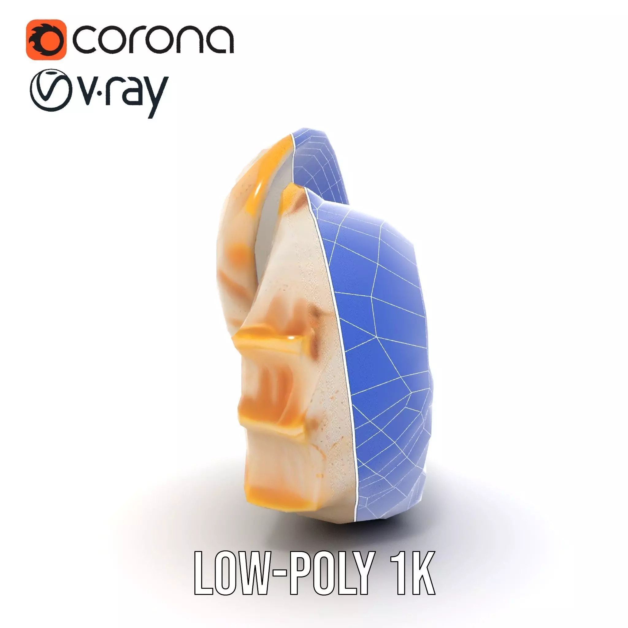 Elegant Nautilus Shell model pack Low-poly 3D model_28