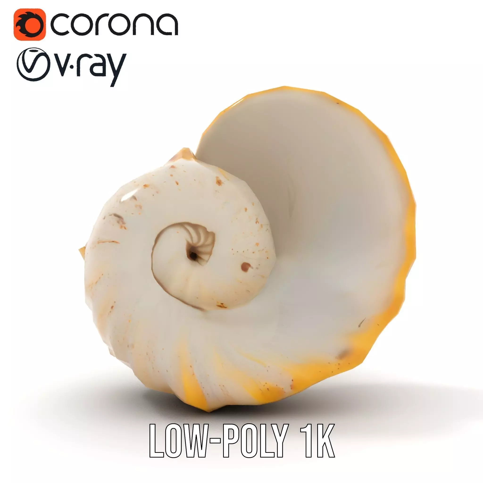 Elegant Nautilus Shell model pack Low-poly 3D model_12