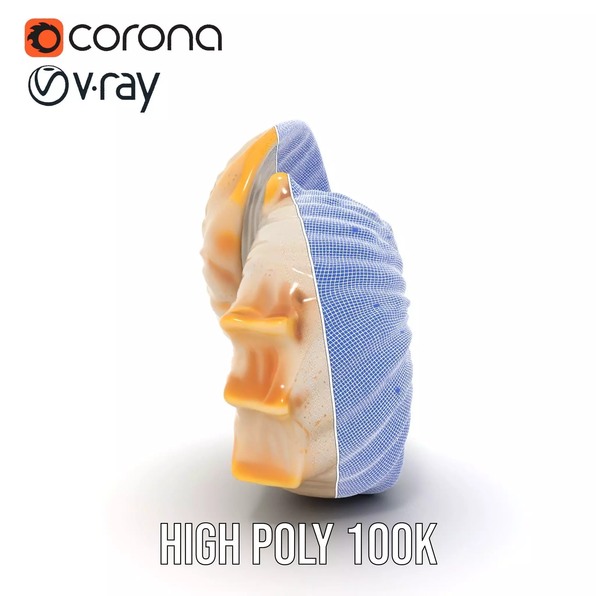 Elegant Nautilus Shell model pack Low-poly 3D model_34