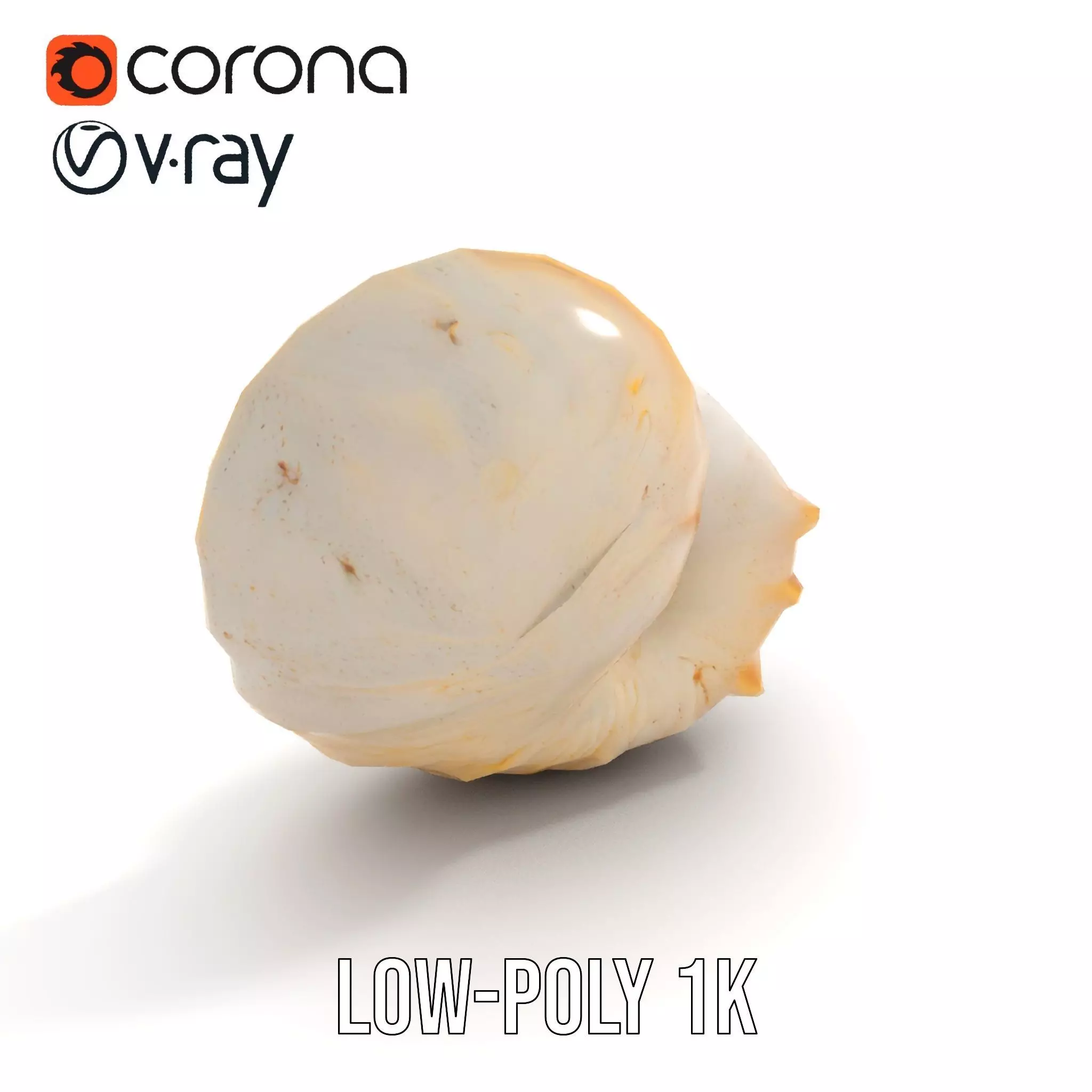 Elegant Nautilus Shell model pack Low-poly 3D model_7