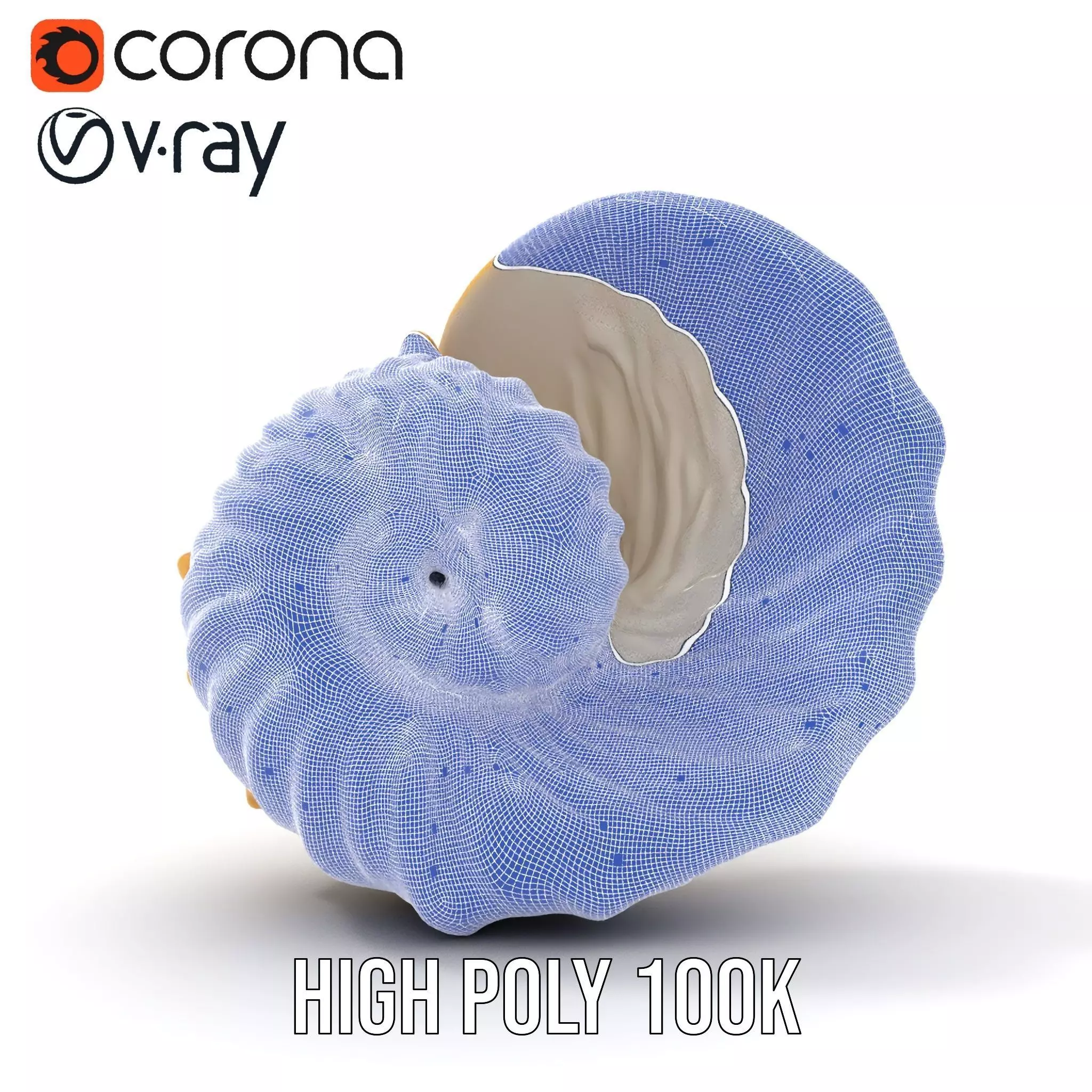 Elegant Nautilus Shell model pack Low-poly 3D model_32