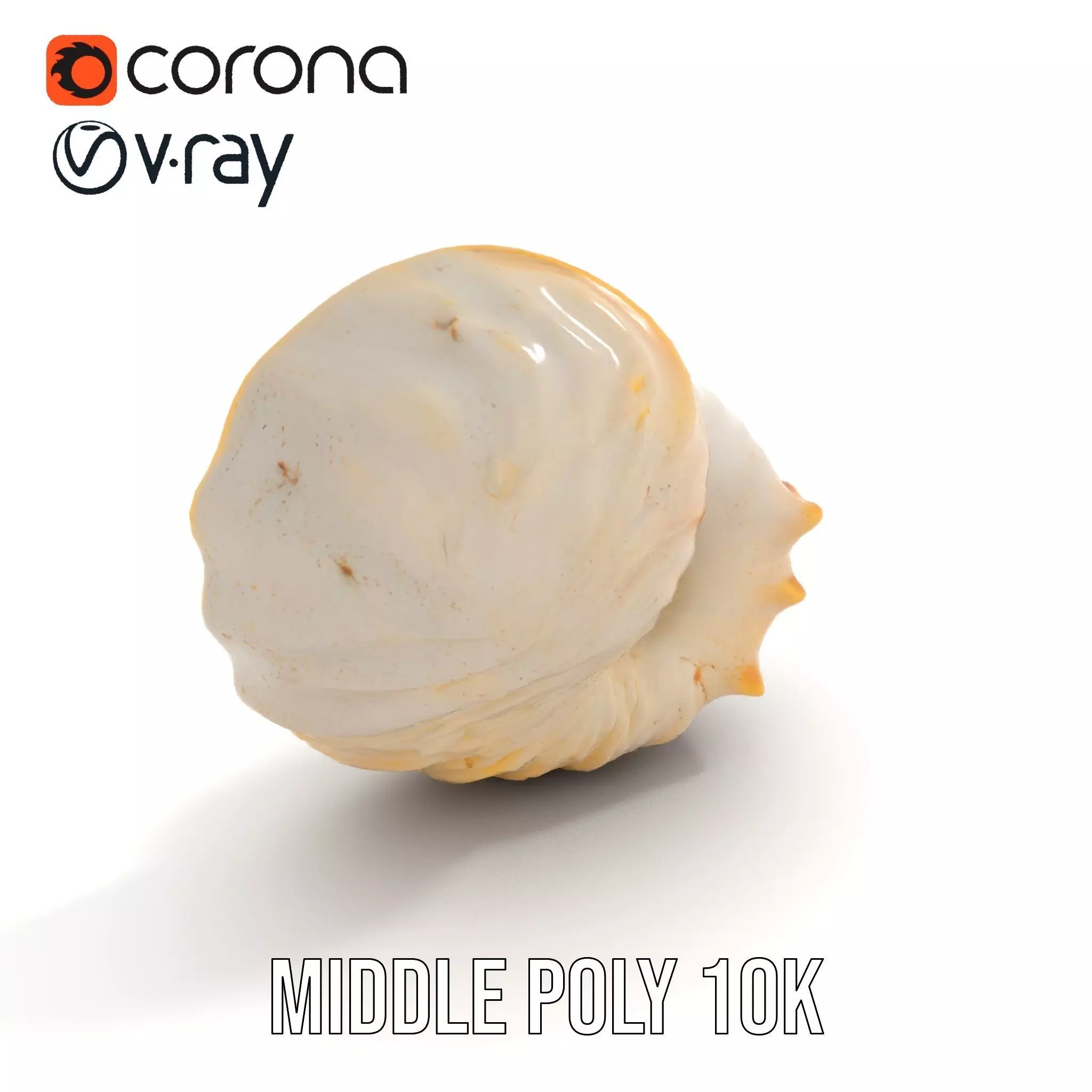 Elegant Nautilus Shell model pack Low-poly 3D model_5