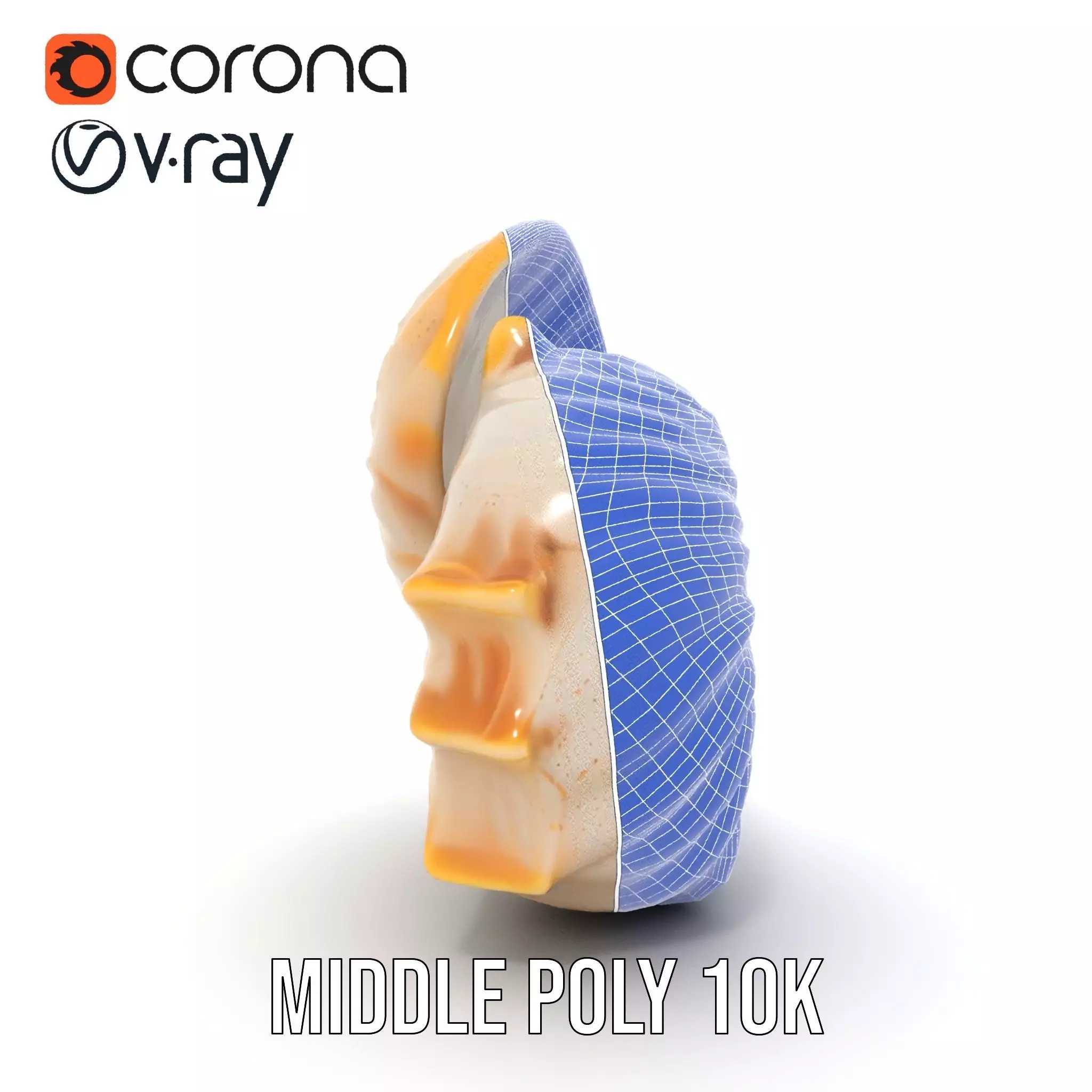 Elegant Nautilus Shell model pack Low-poly 3D model_21
