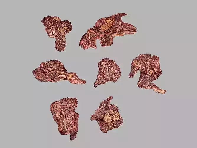 Horror Assets - Dog Corpses Pack Low-poly 3D Model