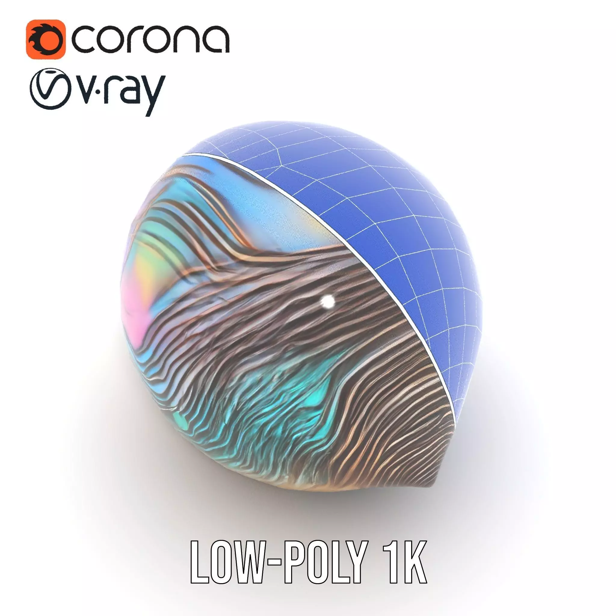 Iridescent Seashell model pack Low-poly 3D model_22