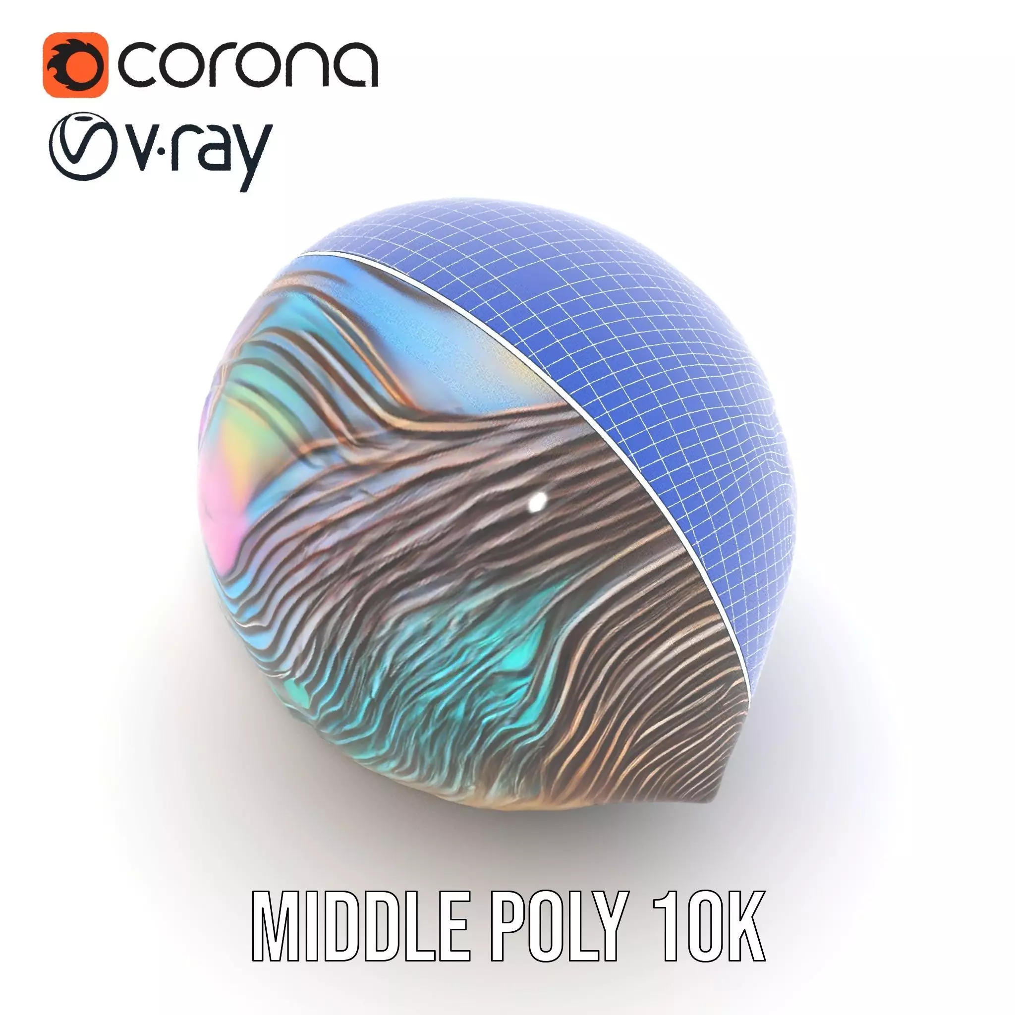 Iridescent Seashell model pack Low-poly 3D model_21