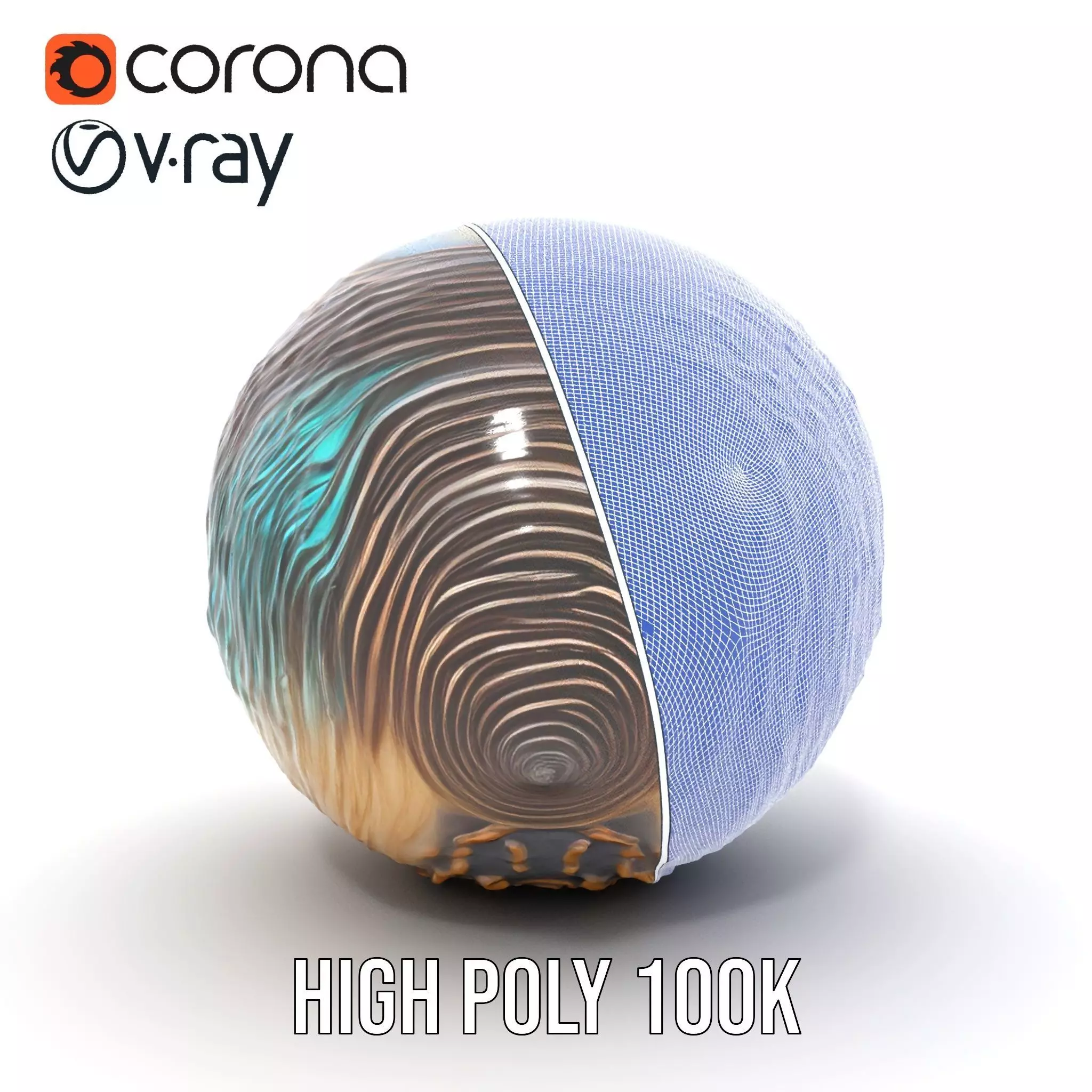 Iridescent Seashell model pack Low-poly 3D model_34