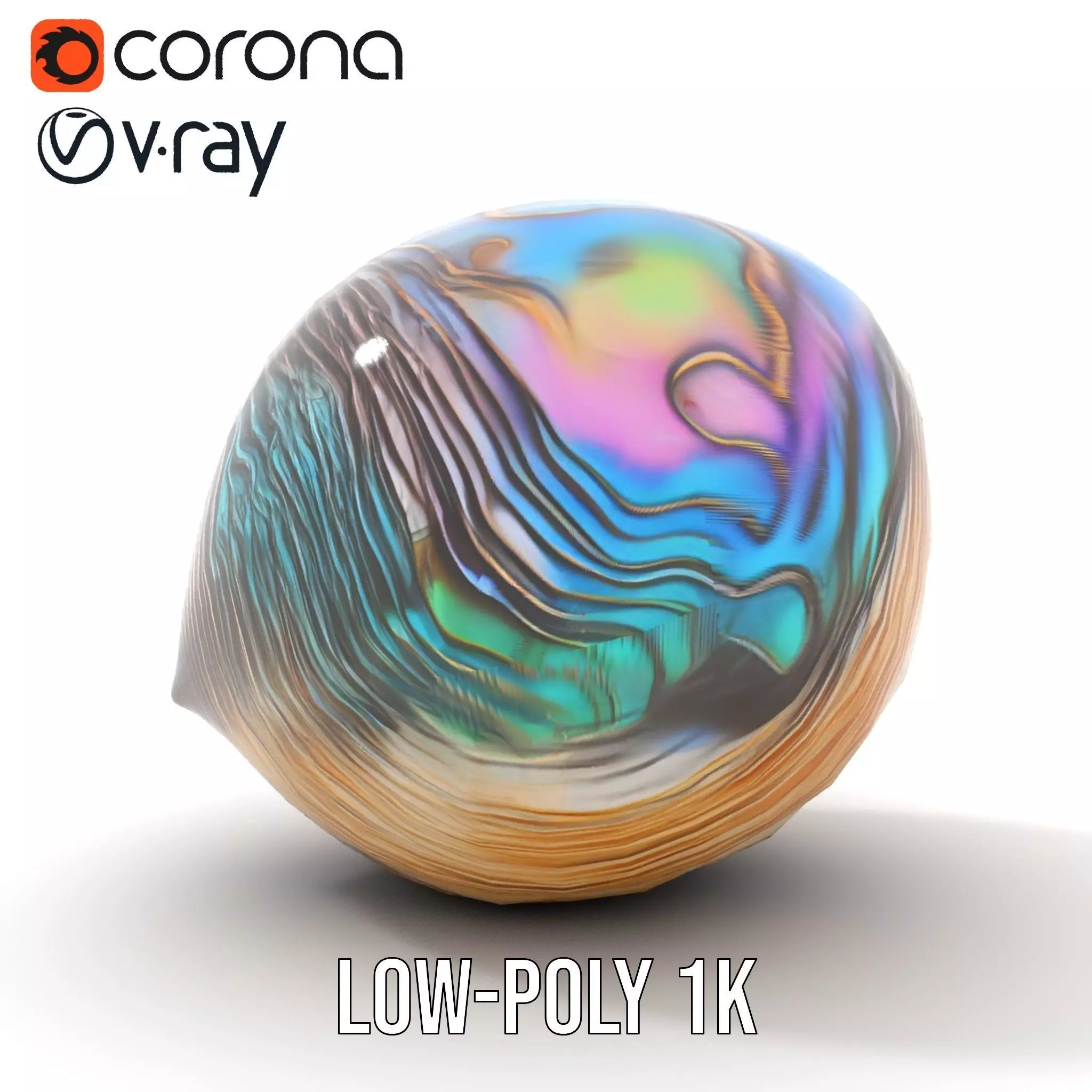 Iridescent Seashell model pack Low-poly 3D model_16