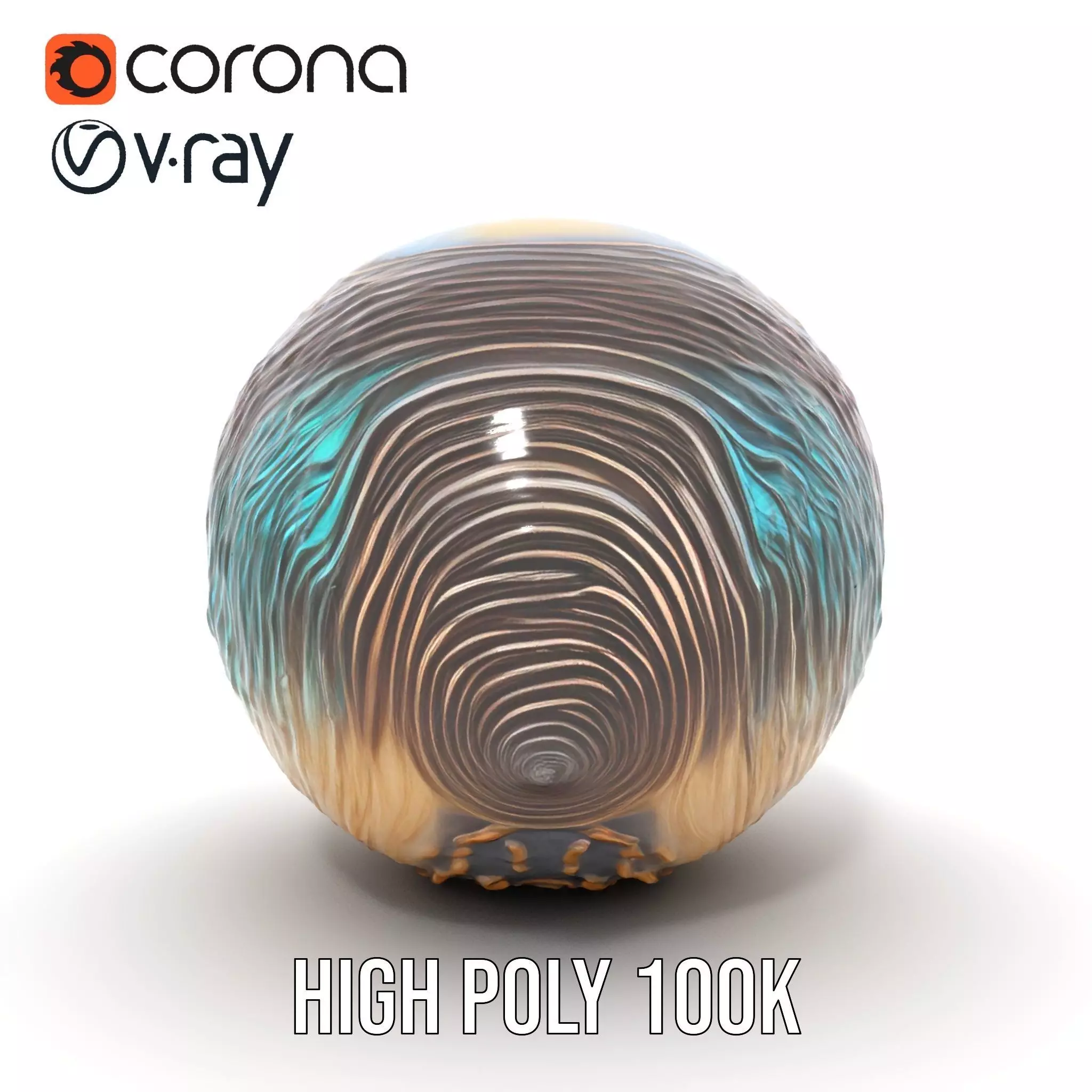 Iridescent Seashell model pack Low-poly 3D model_31