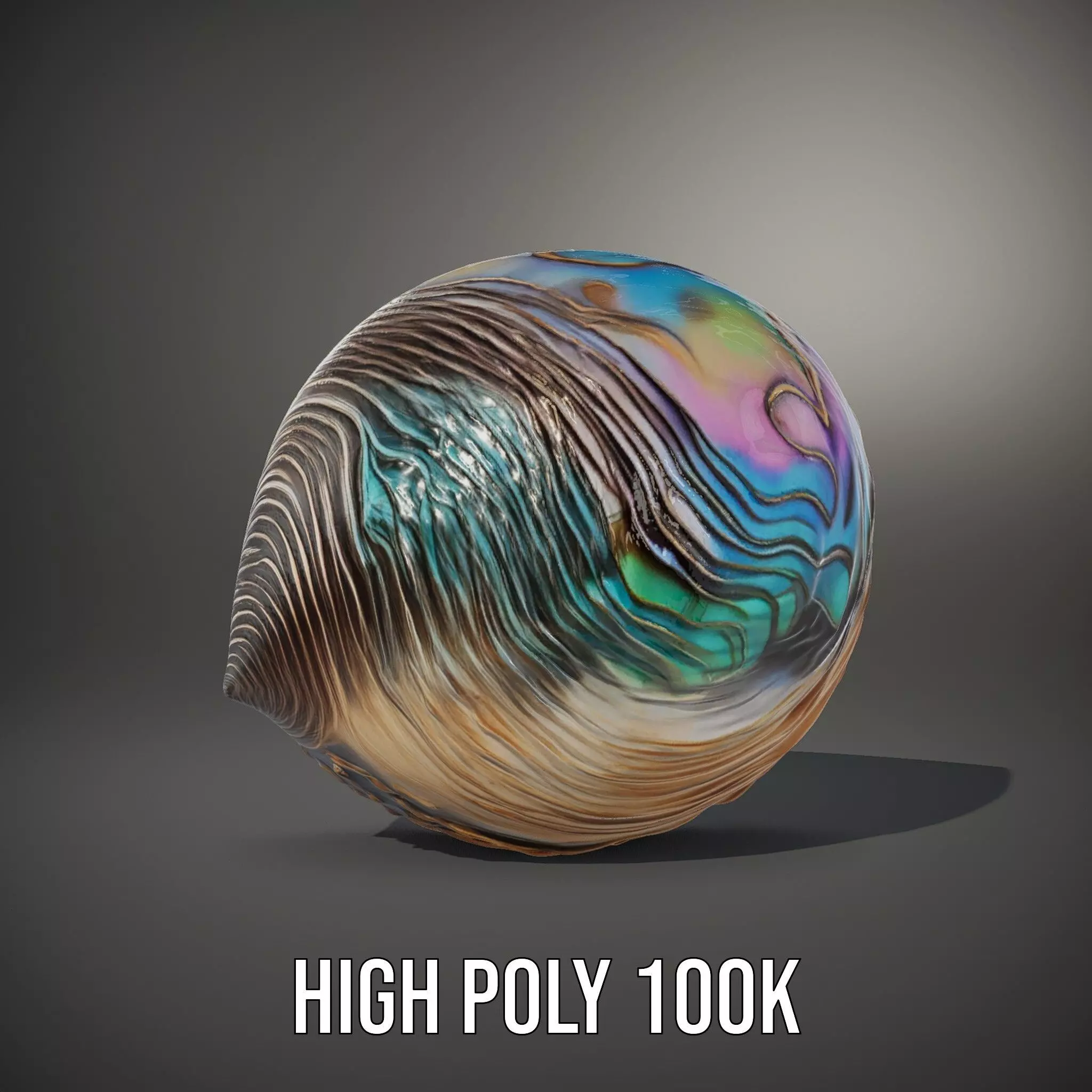 Iridescent Seashell model pack Low-poly 3D model_10