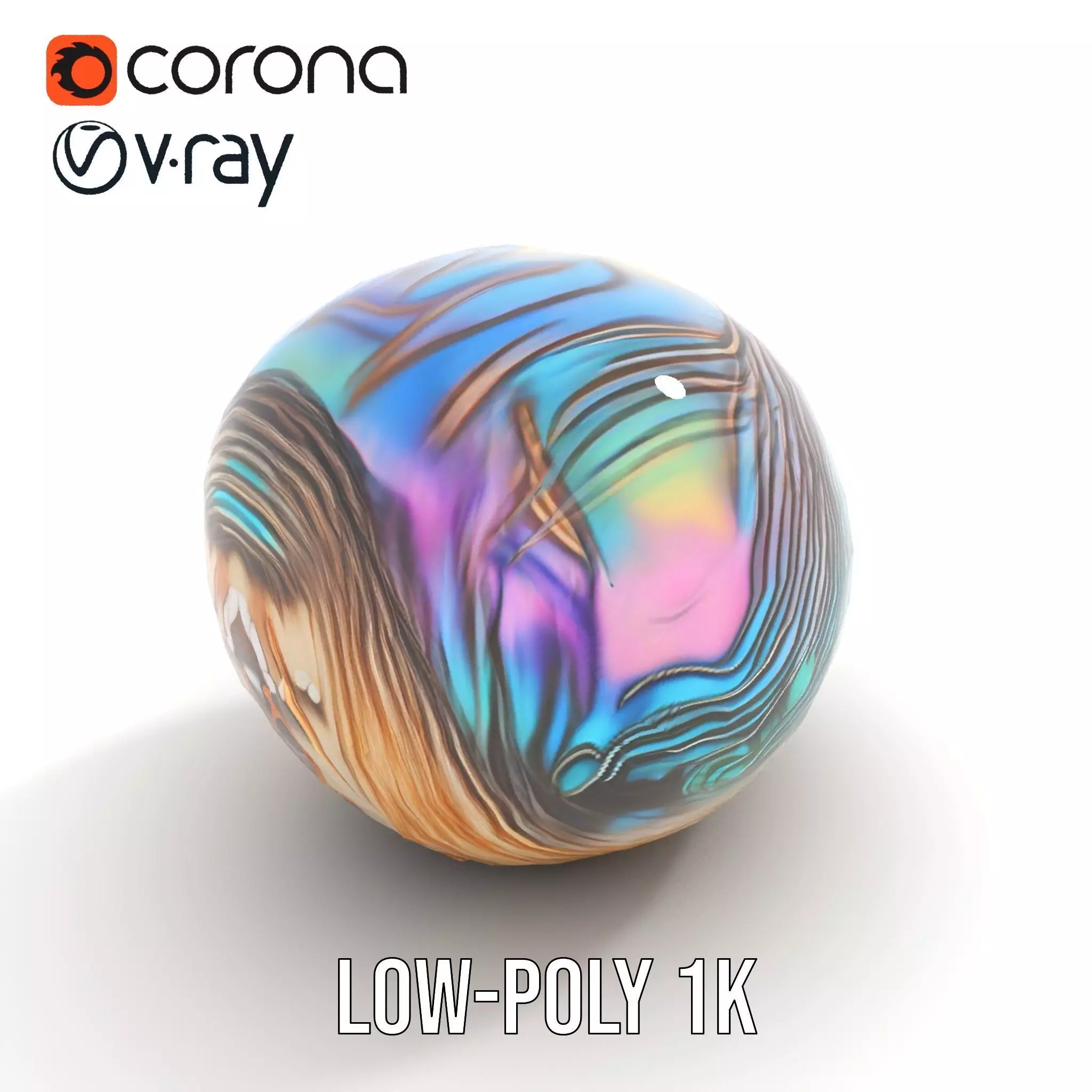Iridescent Seashell model pack Low-poly 3D model_12