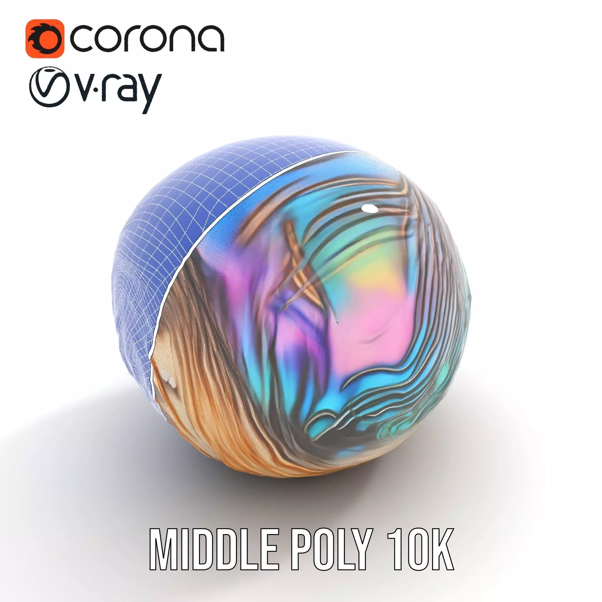 Iridescent Seashell model pack Low-poly 3D model_24