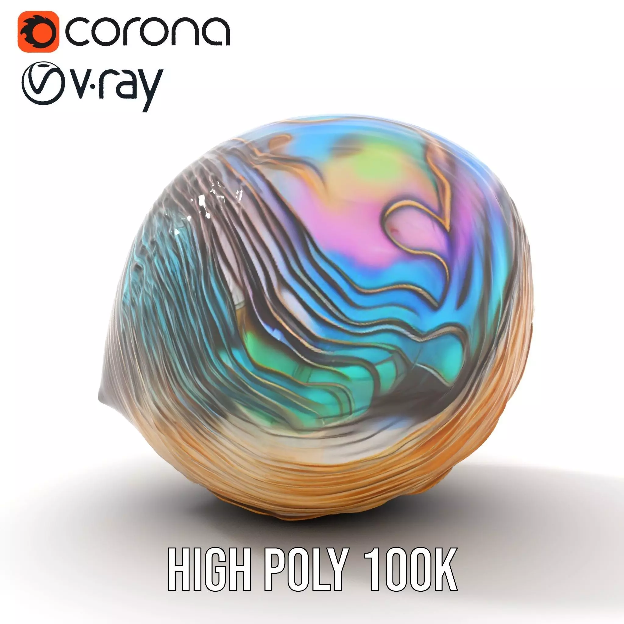 Iridescent Seashell model pack Low-poly 3D model_17