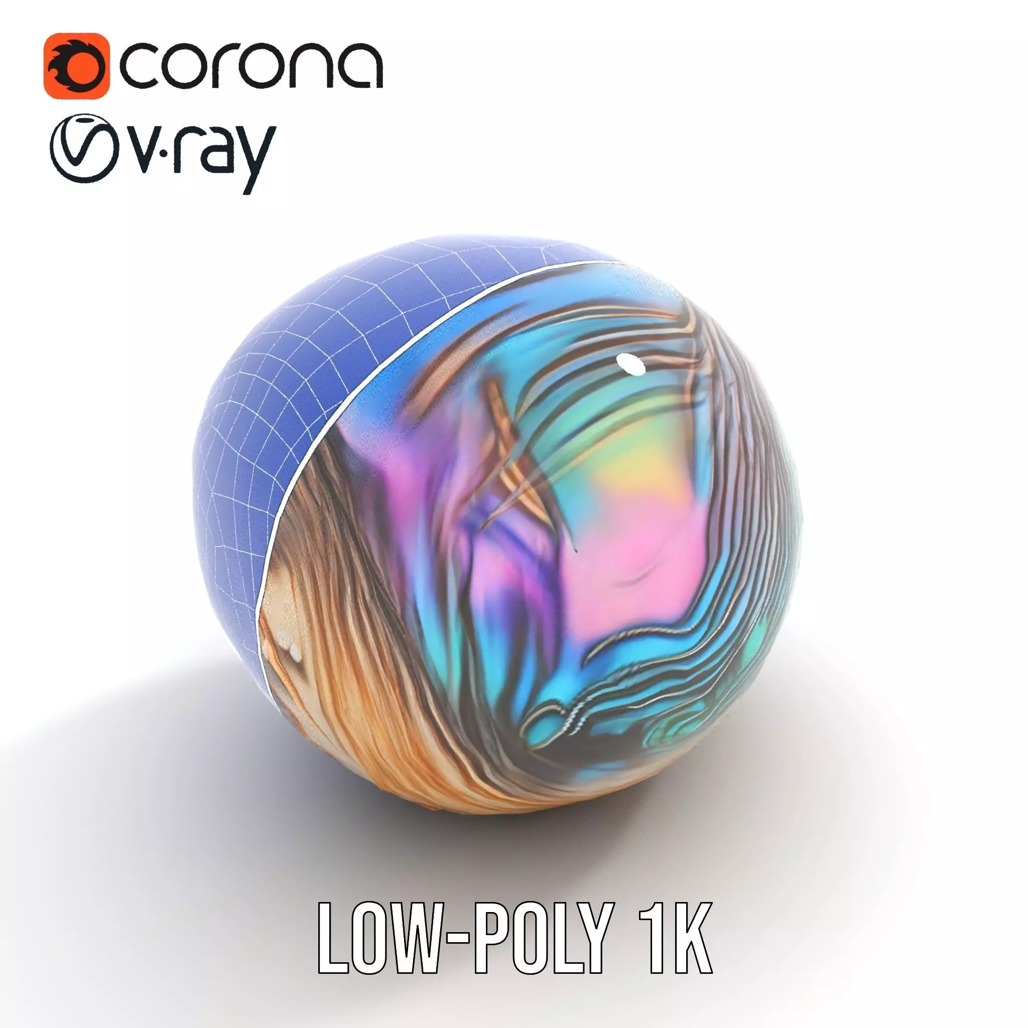 Iridescent Seashell model pack Low-poly 3D model_25