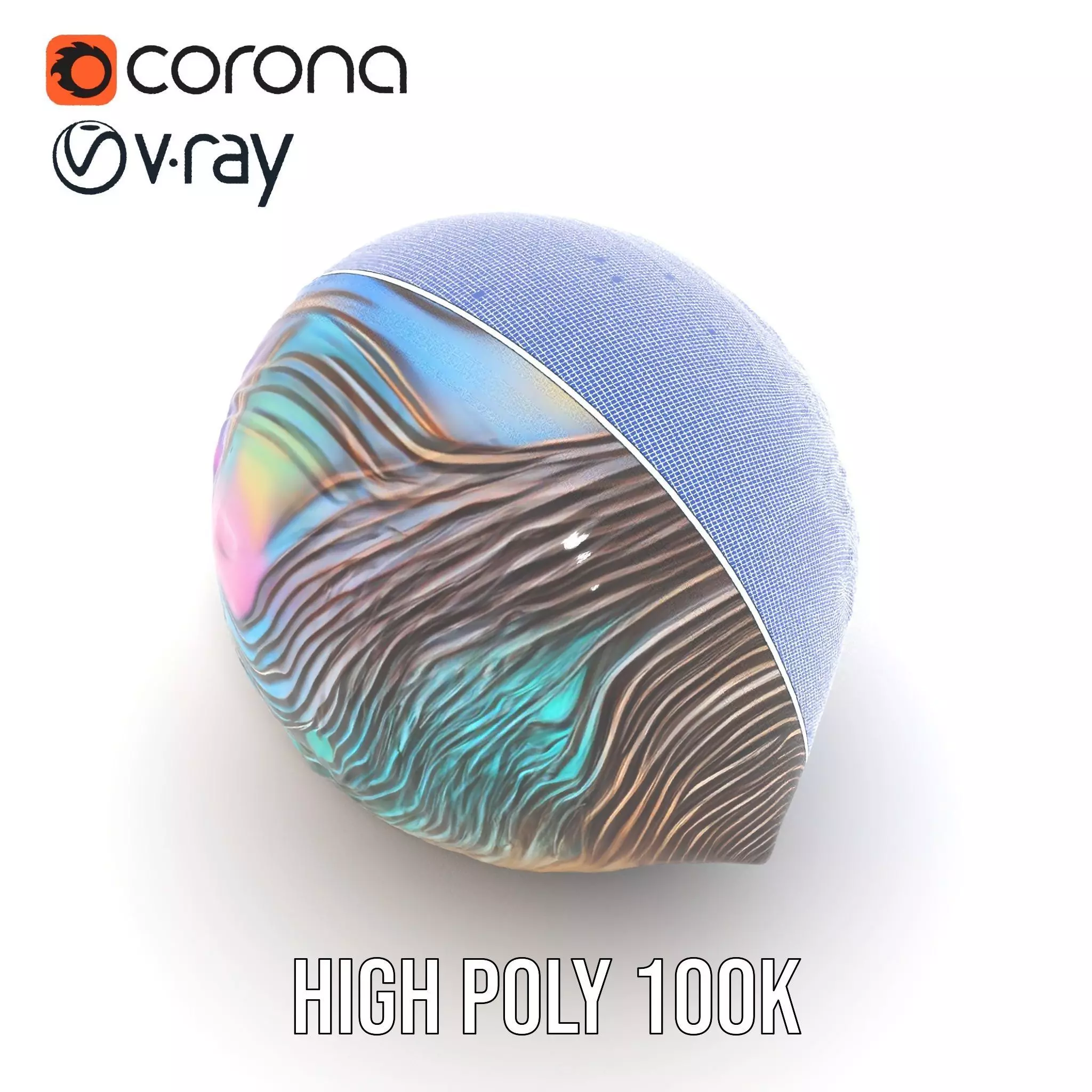 Iridescent Seashell model pack Low-poly 3D model_32