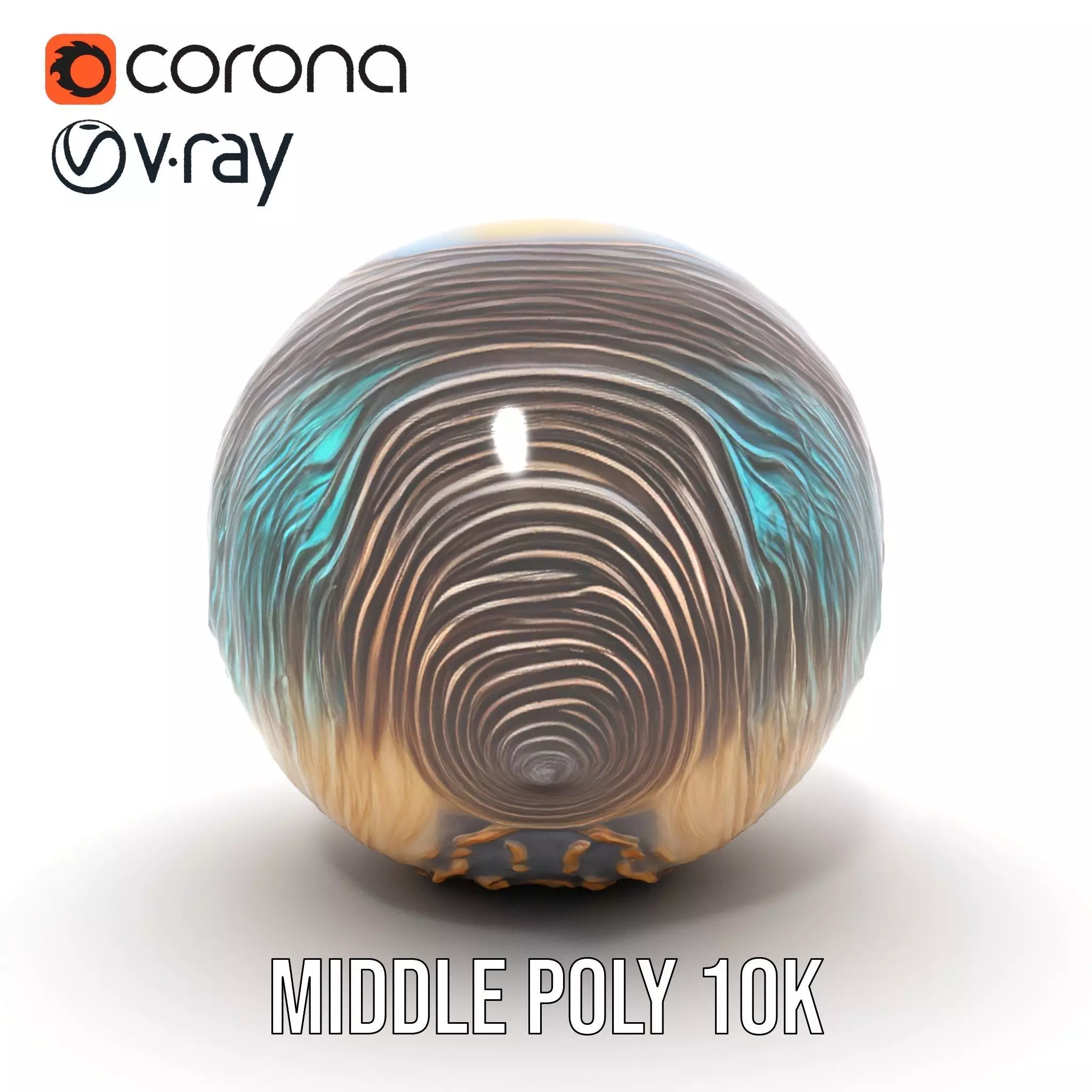 Iridescent Seashell model pack Low-poly 3D model_13