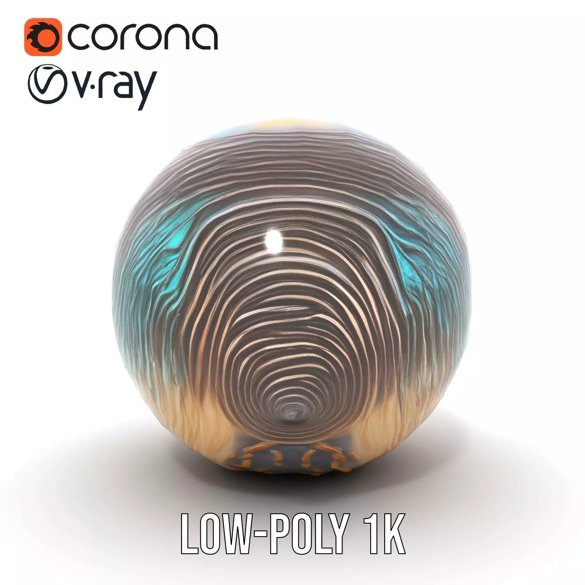 Iridescent Seashell model pack Low-poly 3D model_14