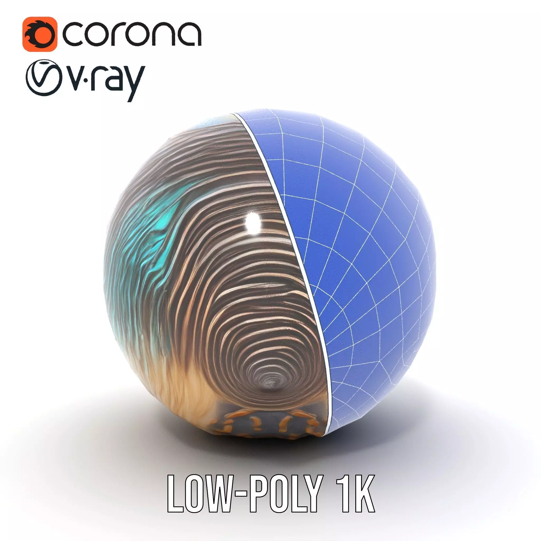 Iridescent Seashell model pack Low-poly 3D model_30