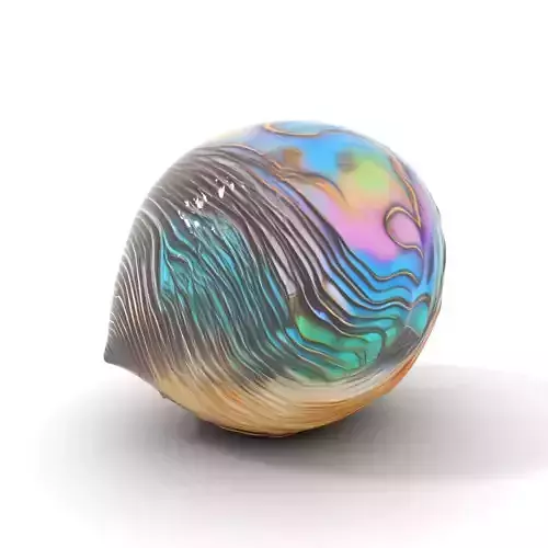 Iridescent Seashell model pack Low-poly 3D model Iridescent Seashell model pack Low-poly 3D model