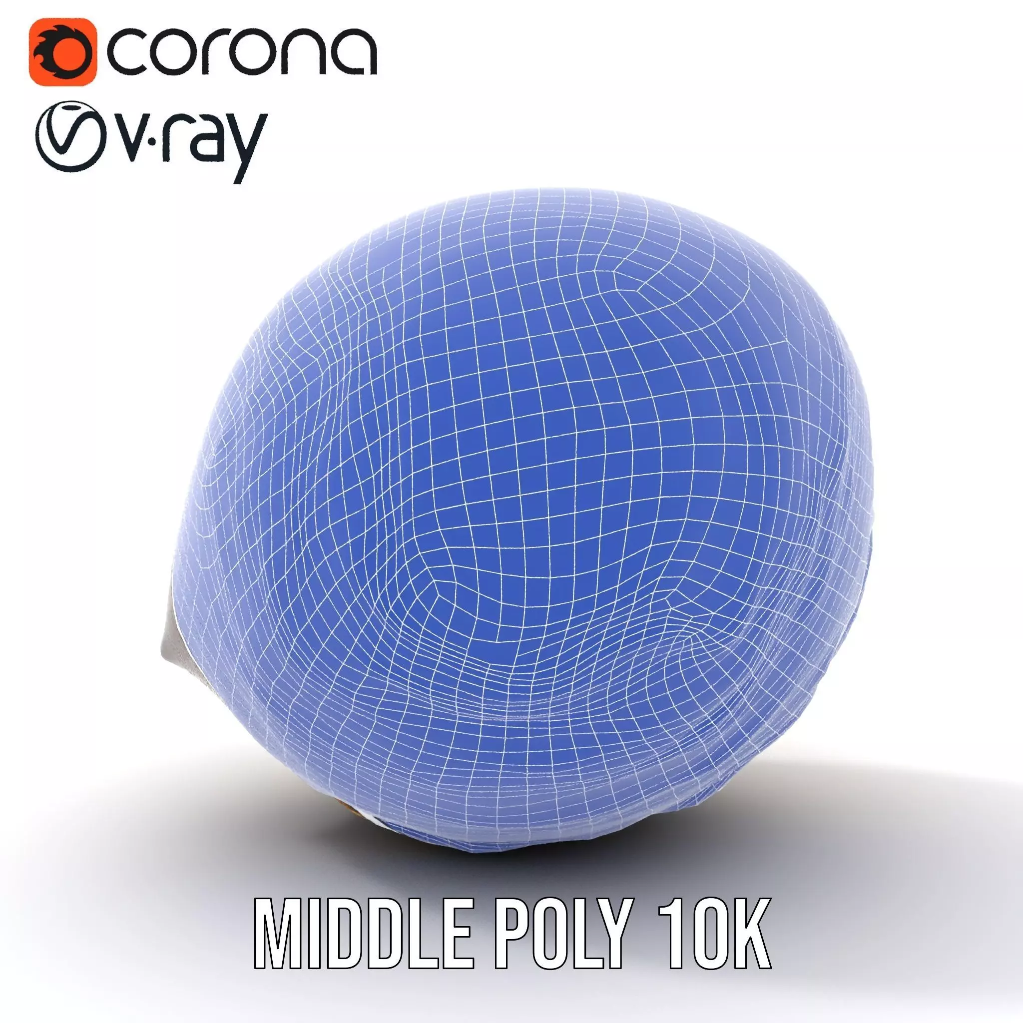 Iridescent Seashell model pack Low-poly 3D model_29