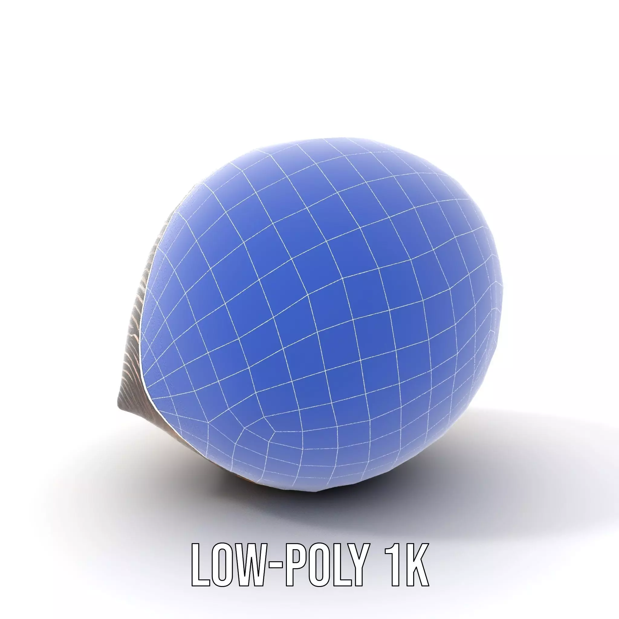 Iridescent Seashell model pack Low-poly 3D model_9
