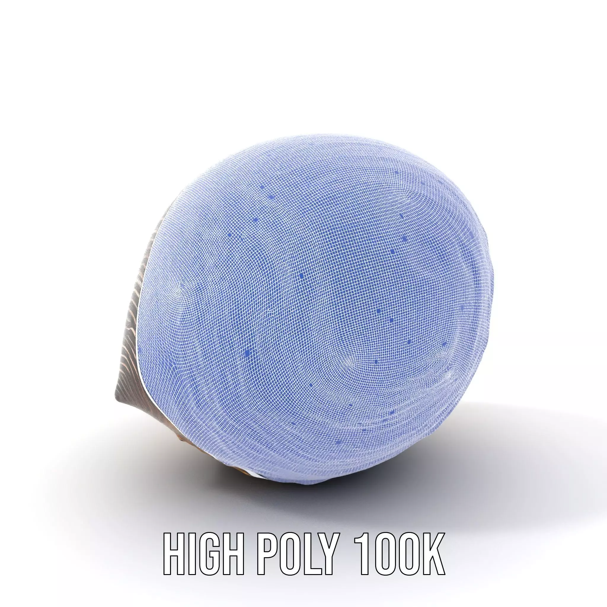 Iridescent Seashell model pack Low-poly 3D model_4