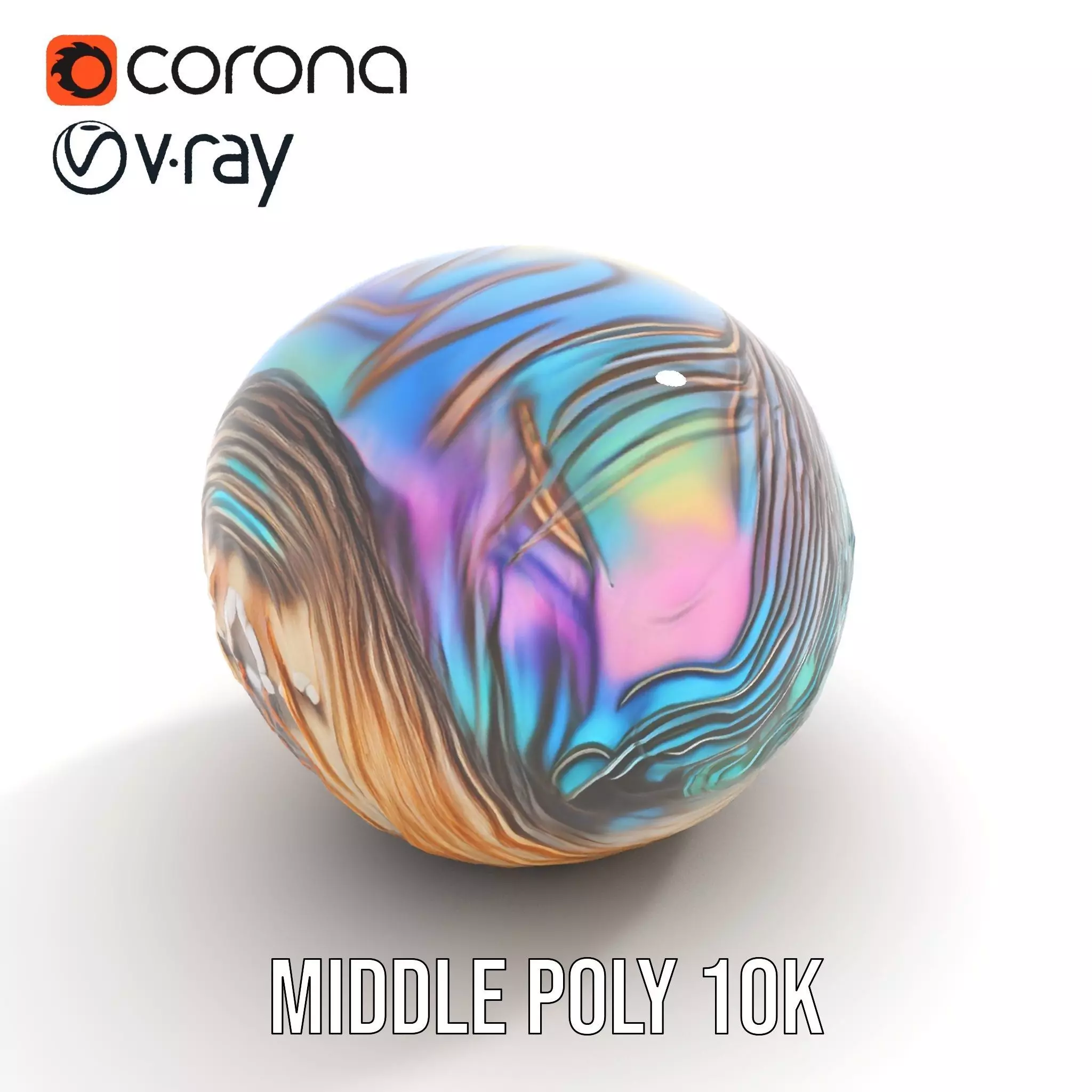 Iridescent Seashell model pack Low-poly 3D model_18