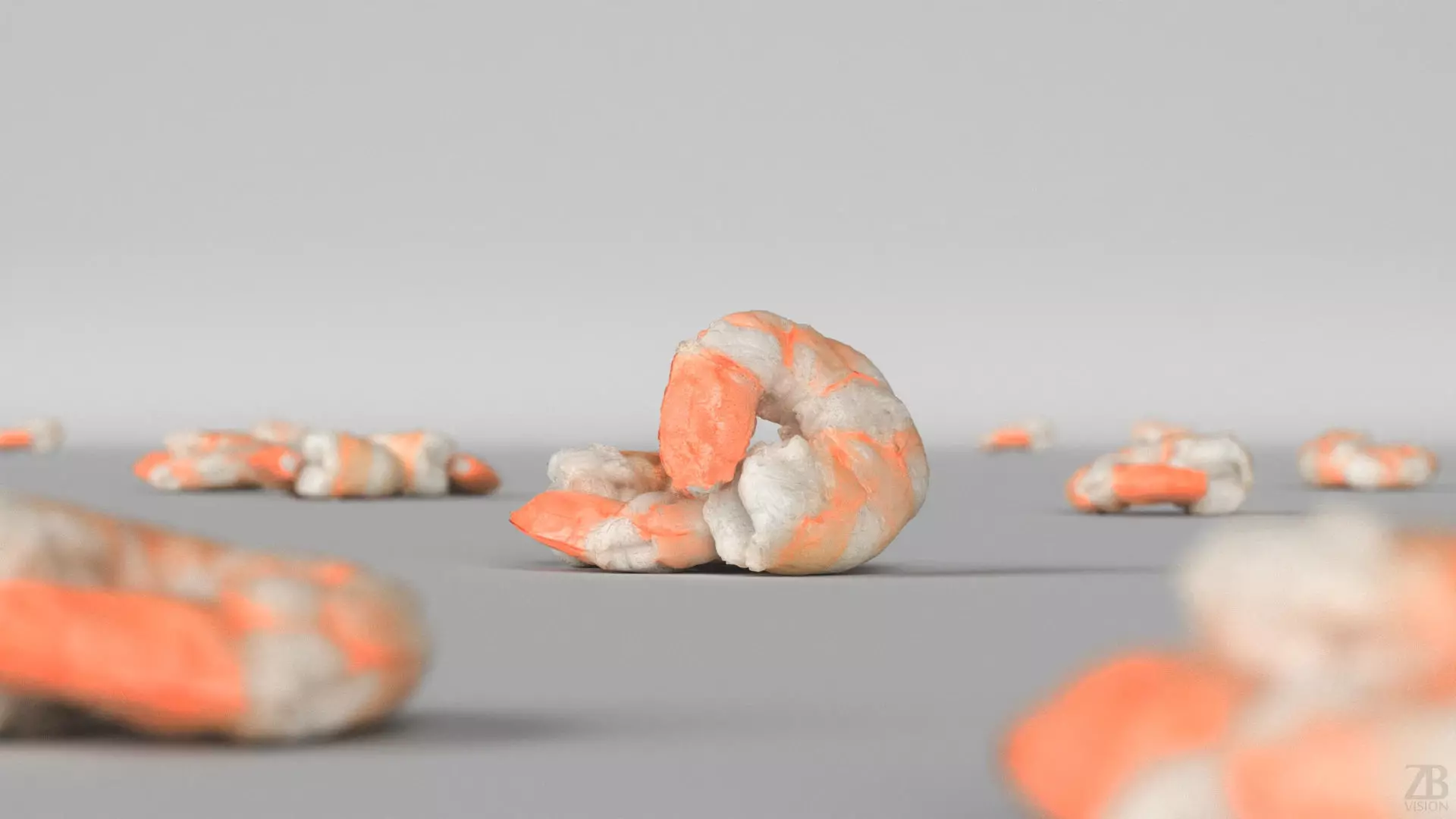 Shrimp 3D model_1
