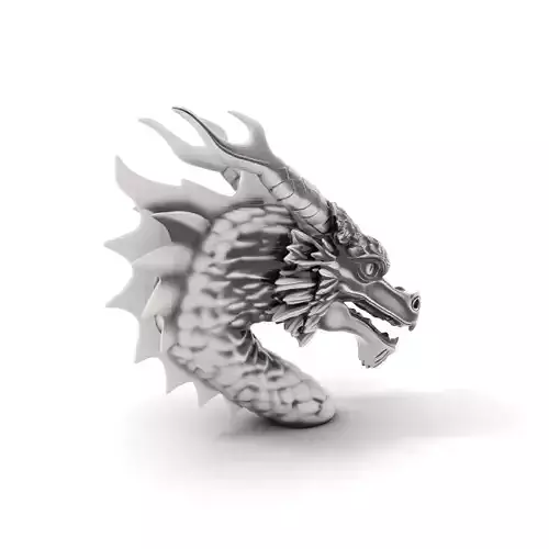 Silver Dragon Head model pack