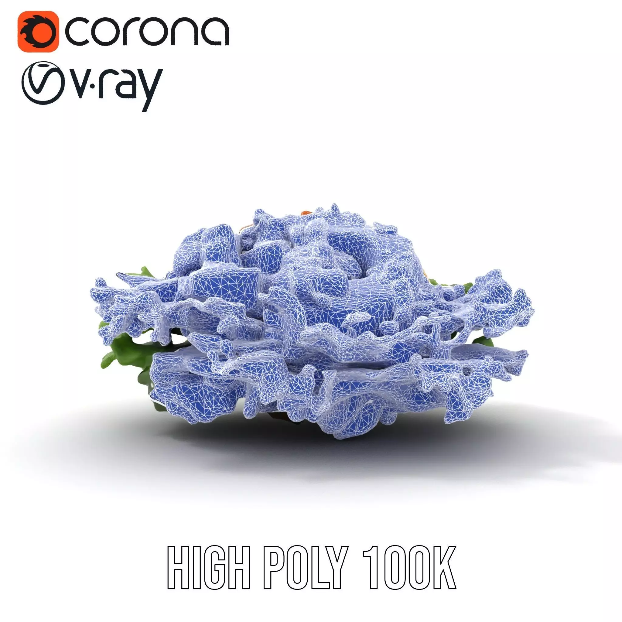 Vibrant Salad model pack Low-poly 3D model_31