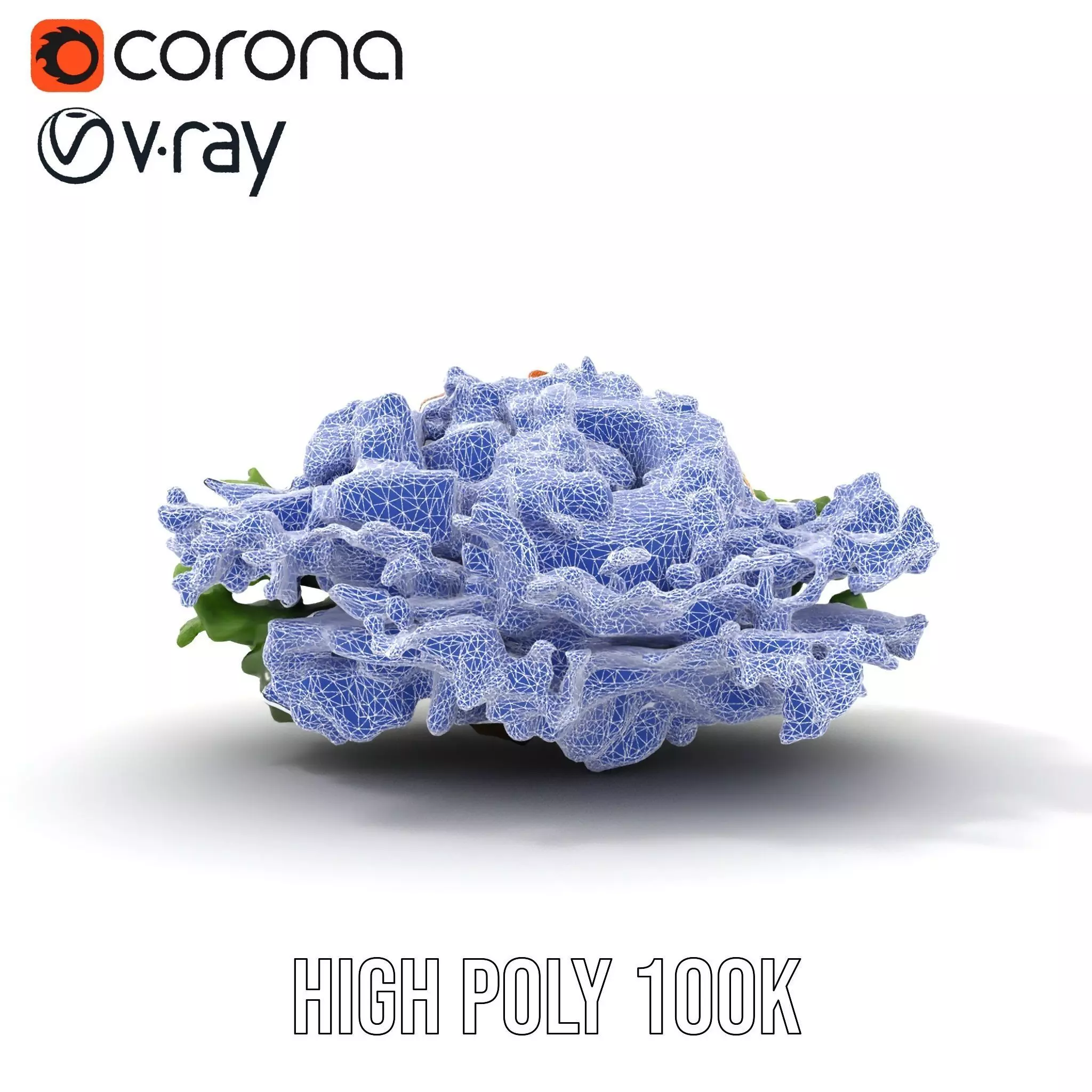 Vibrant Salad model pack Low-poly 3D model_19