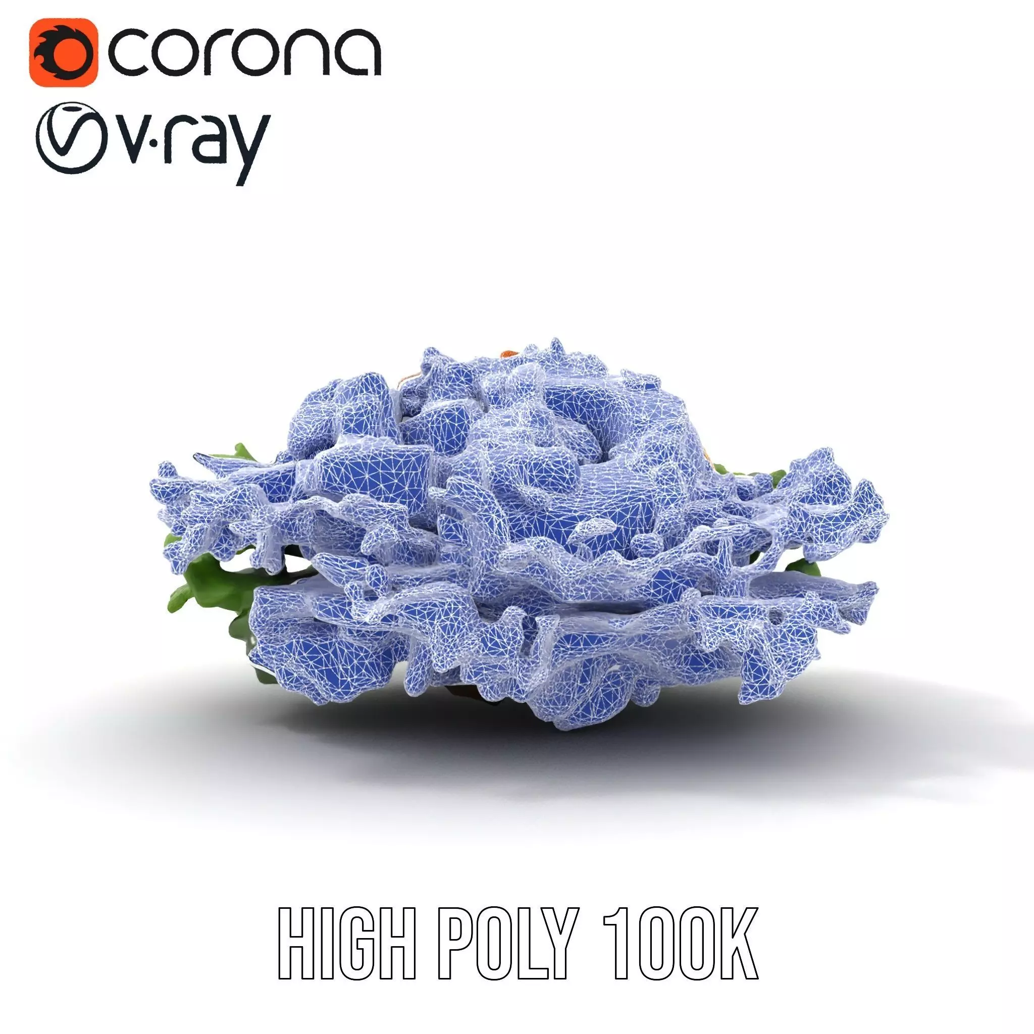 Vibrant Salad model pack Low-poly 3D model_27