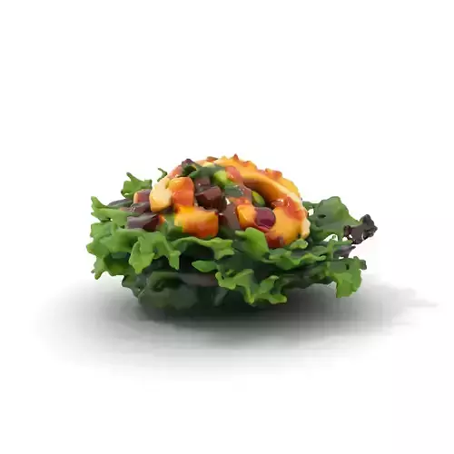 Vibrant Salad model pack