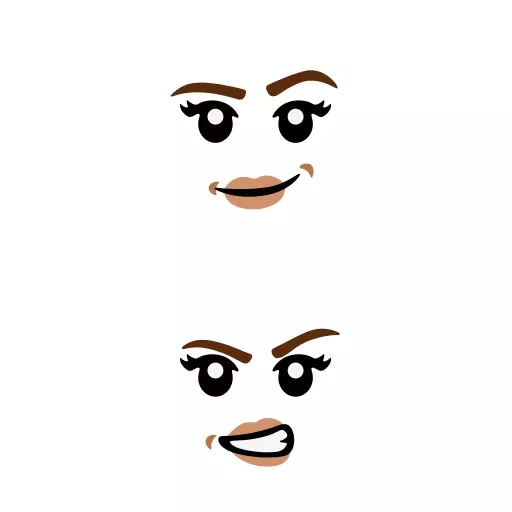 Wikibricks3D - 21341 - The Sanderson Sisters Cottage 3D print model_55