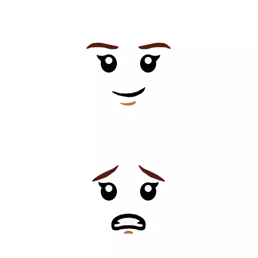 Wikibricks3D - 21341 - The Sanderson Sisters Cottage 3D print model_44