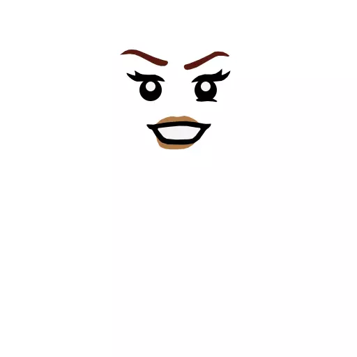 Wikibricks3D - 21341 - The Sanderson Sisters Cottage 3D print model_46