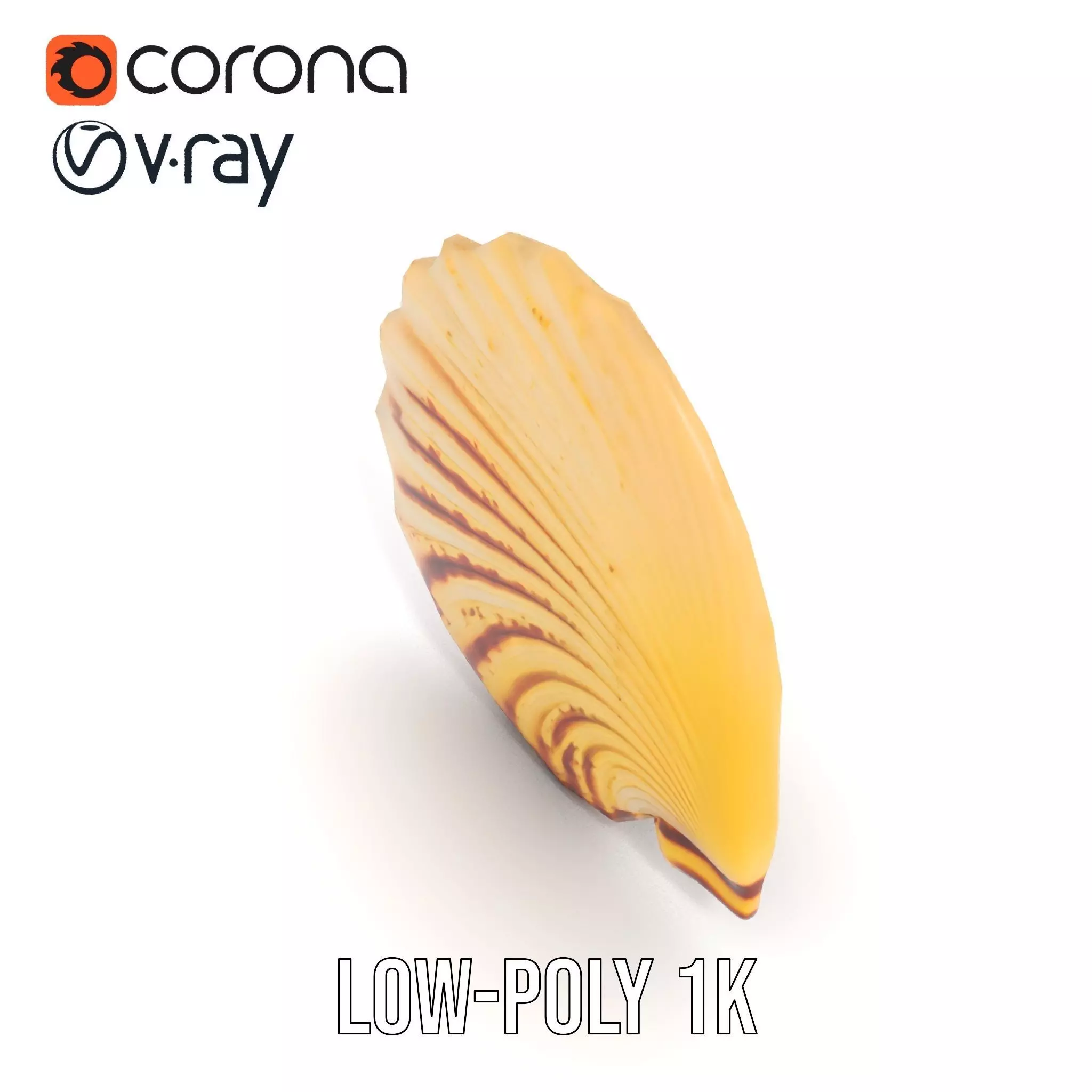 Natural Seashell Textured model pack Low-poly 3D model_14