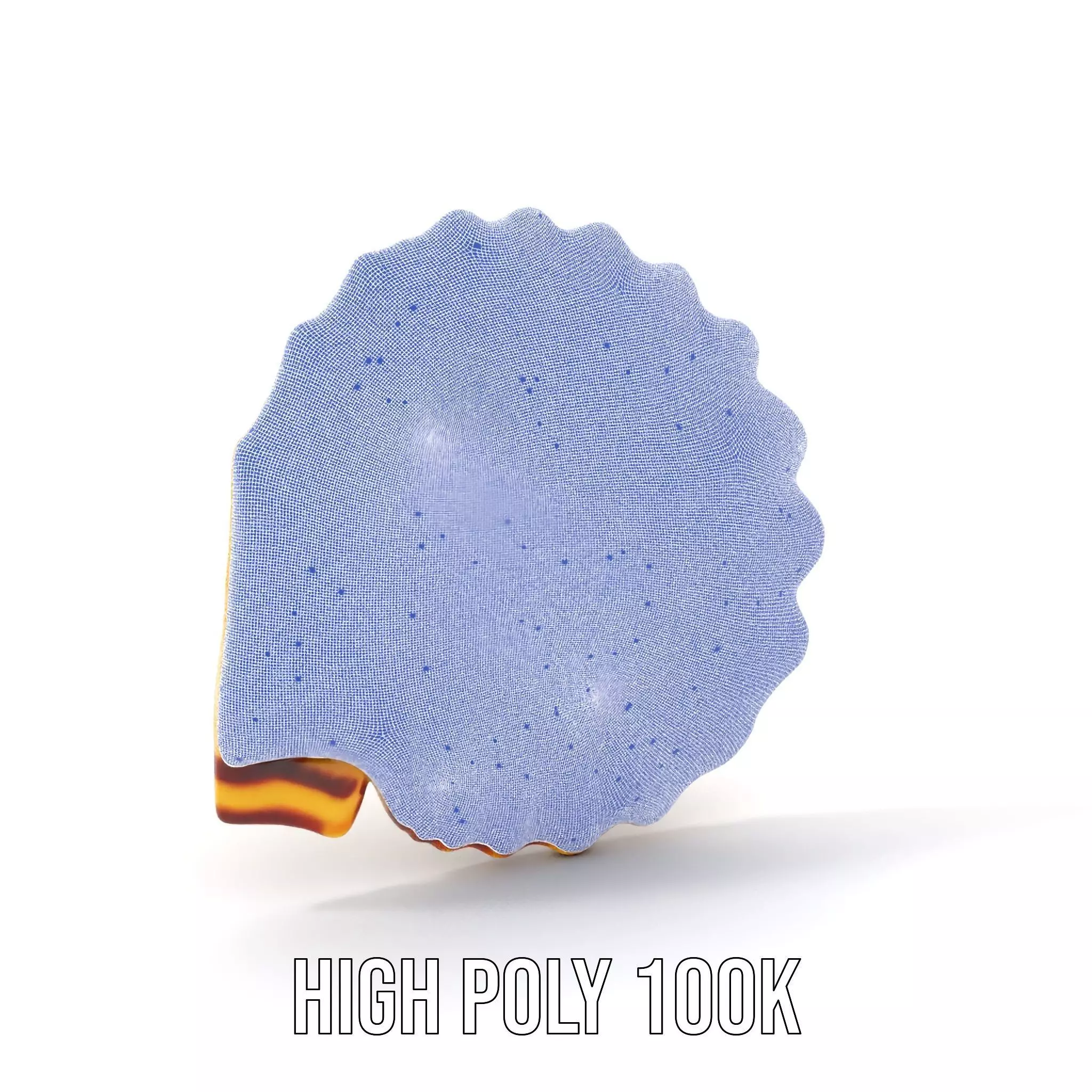 Natural Seashell Textured model pack Low-poly 3D model_4