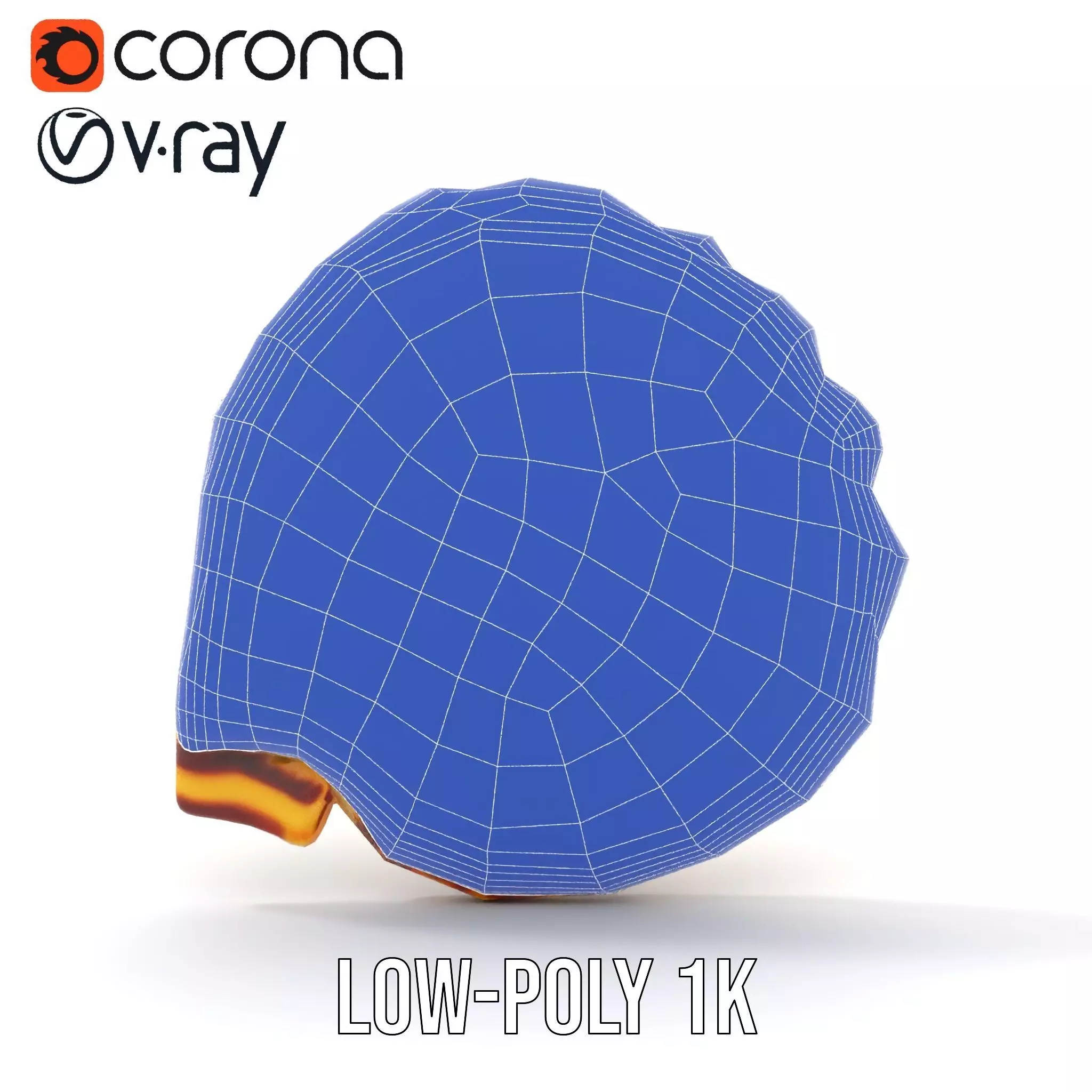 Natural Seashell Textured model pack Low-poly 3D model_31