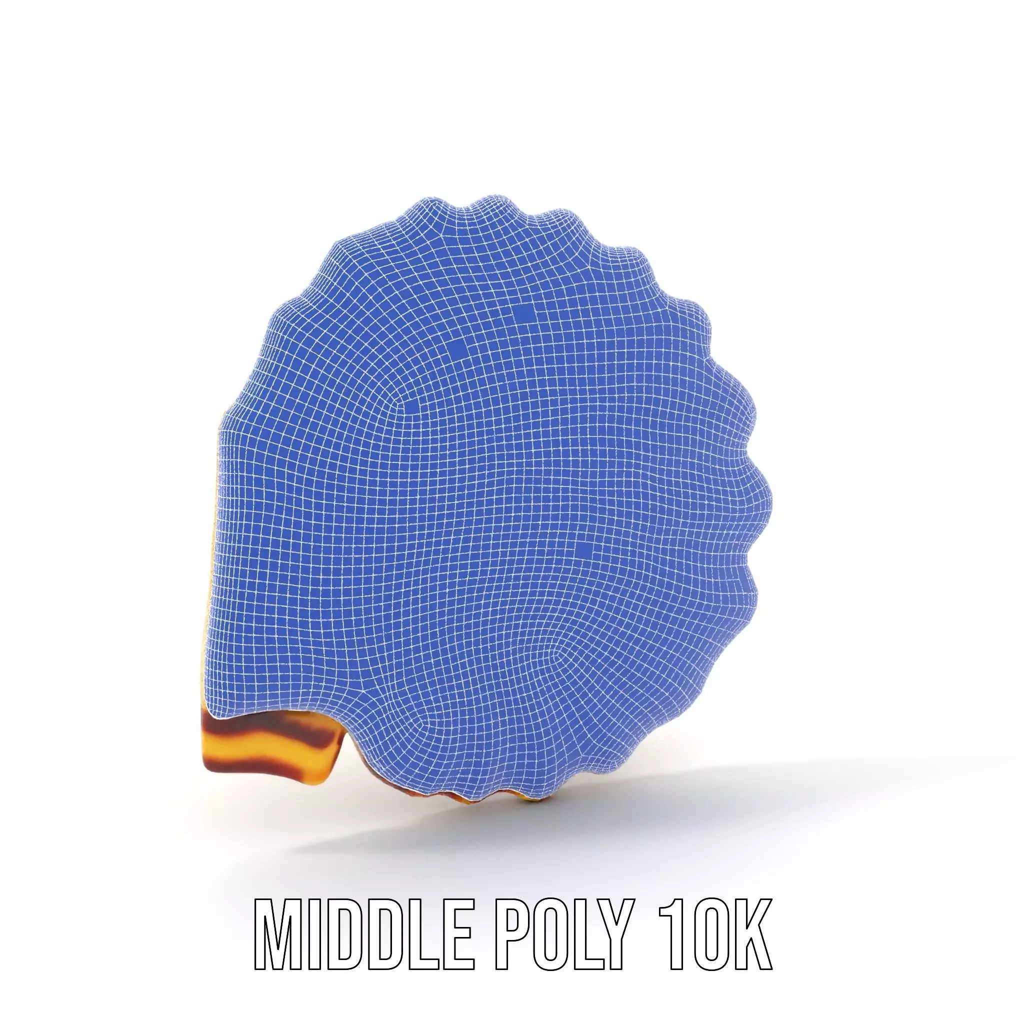 Natural Seashell Textured model pack Low-poly 3D model_27
